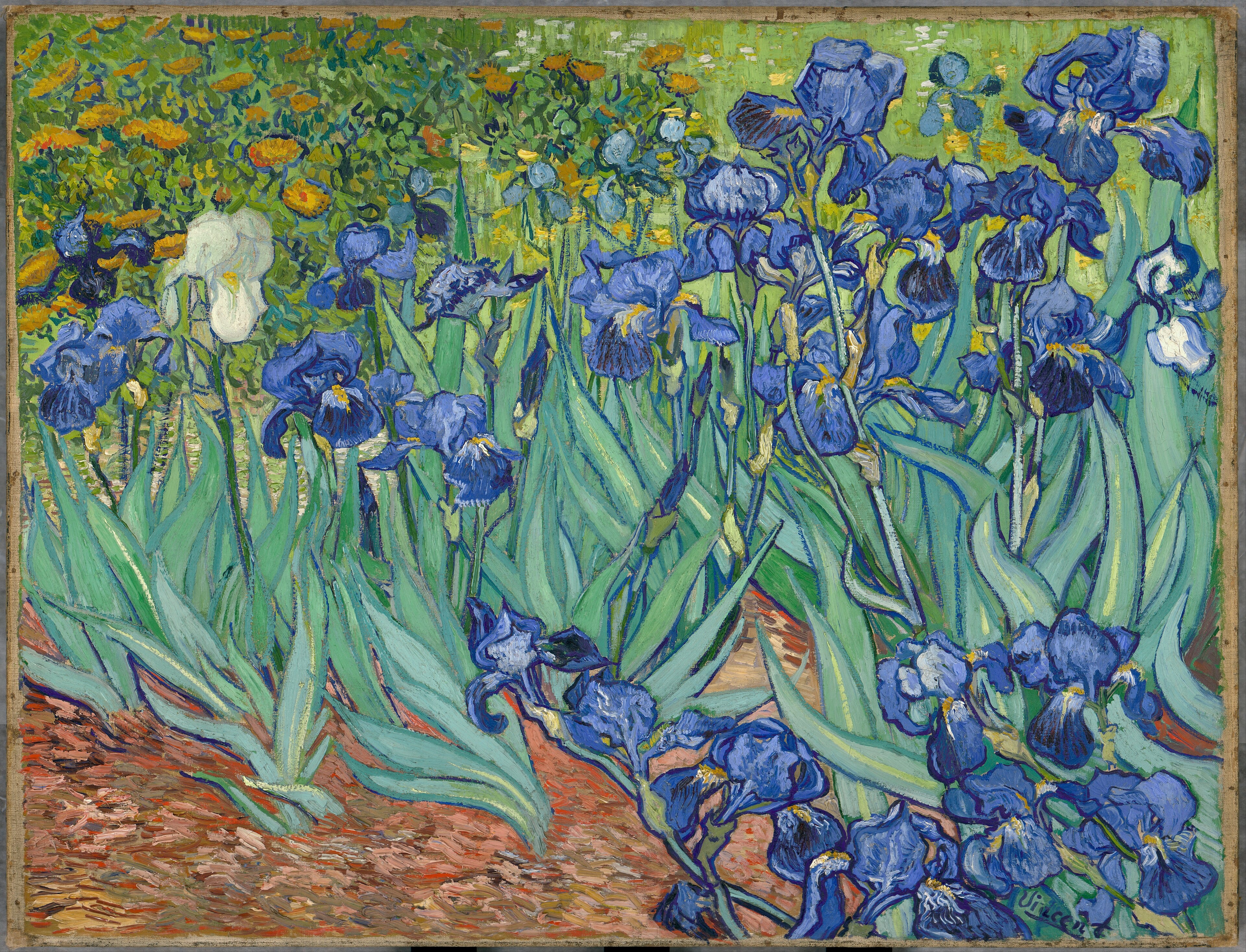 Irises, 1889, by Vincent van Gogh
