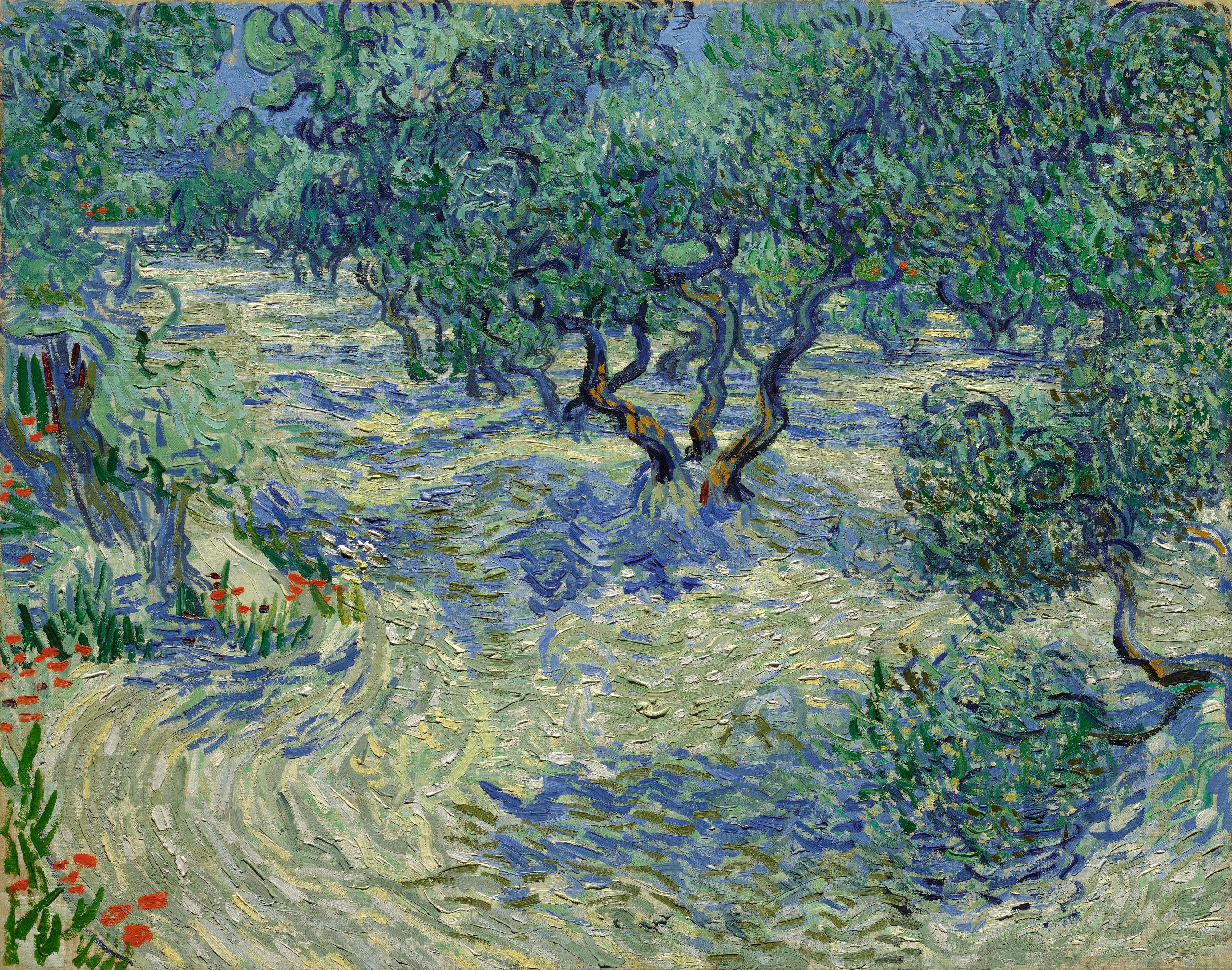 Olive Orchard, 1889-06, by Vincent van Gogh