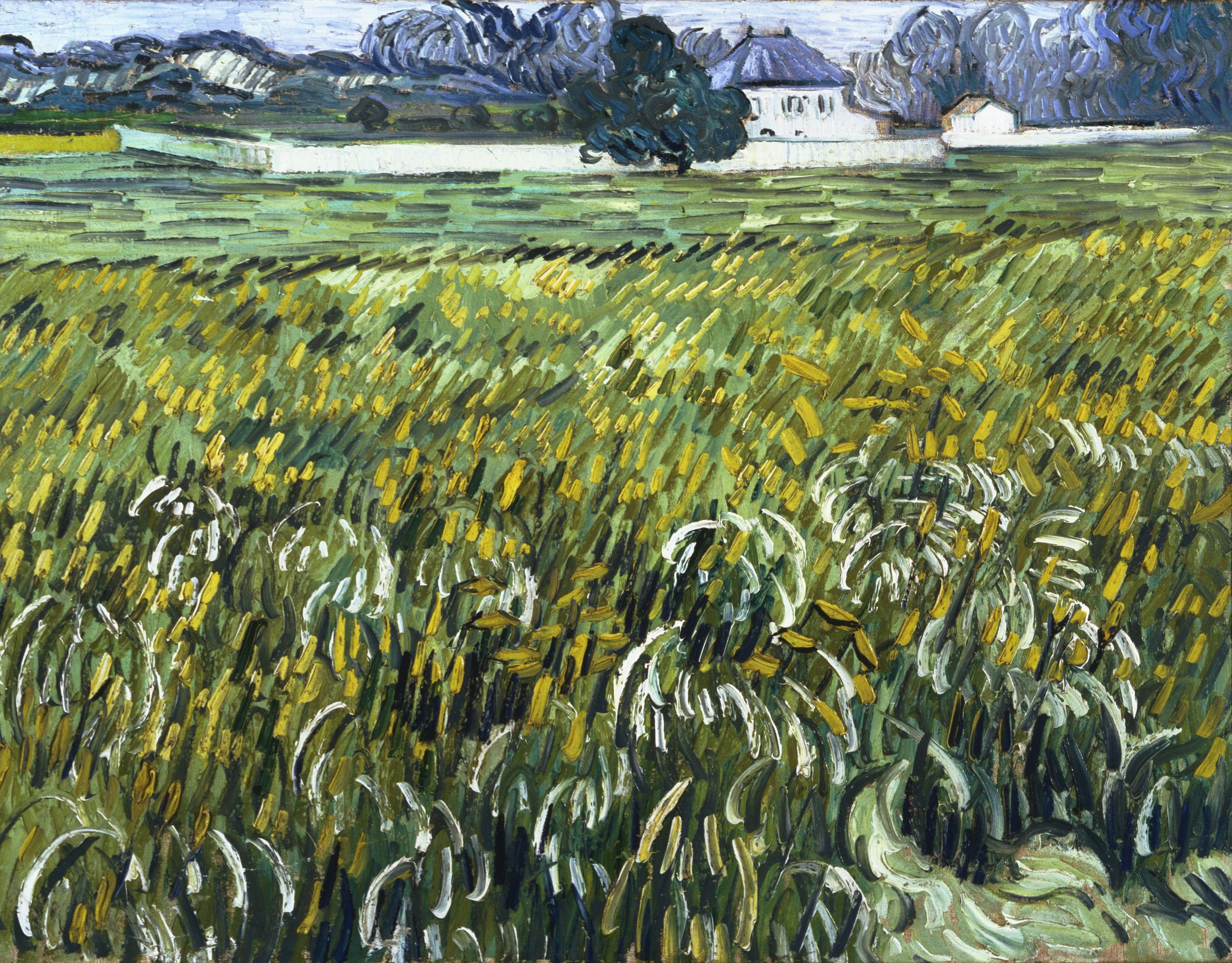 Wheat Field at Auvers with House, 1890, by Vincent van Gogh