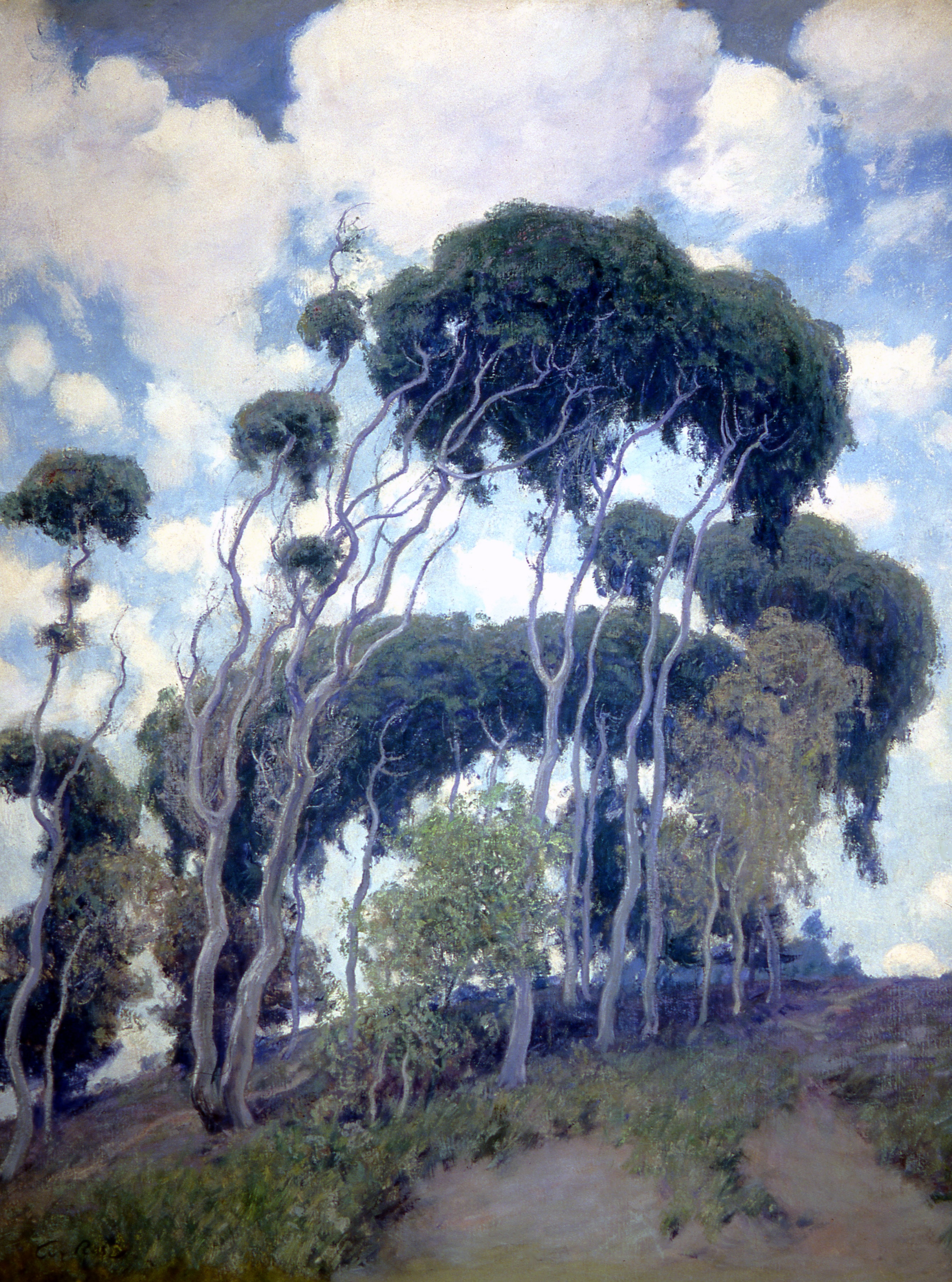 Laguna Eucalyptus by Guy Rose