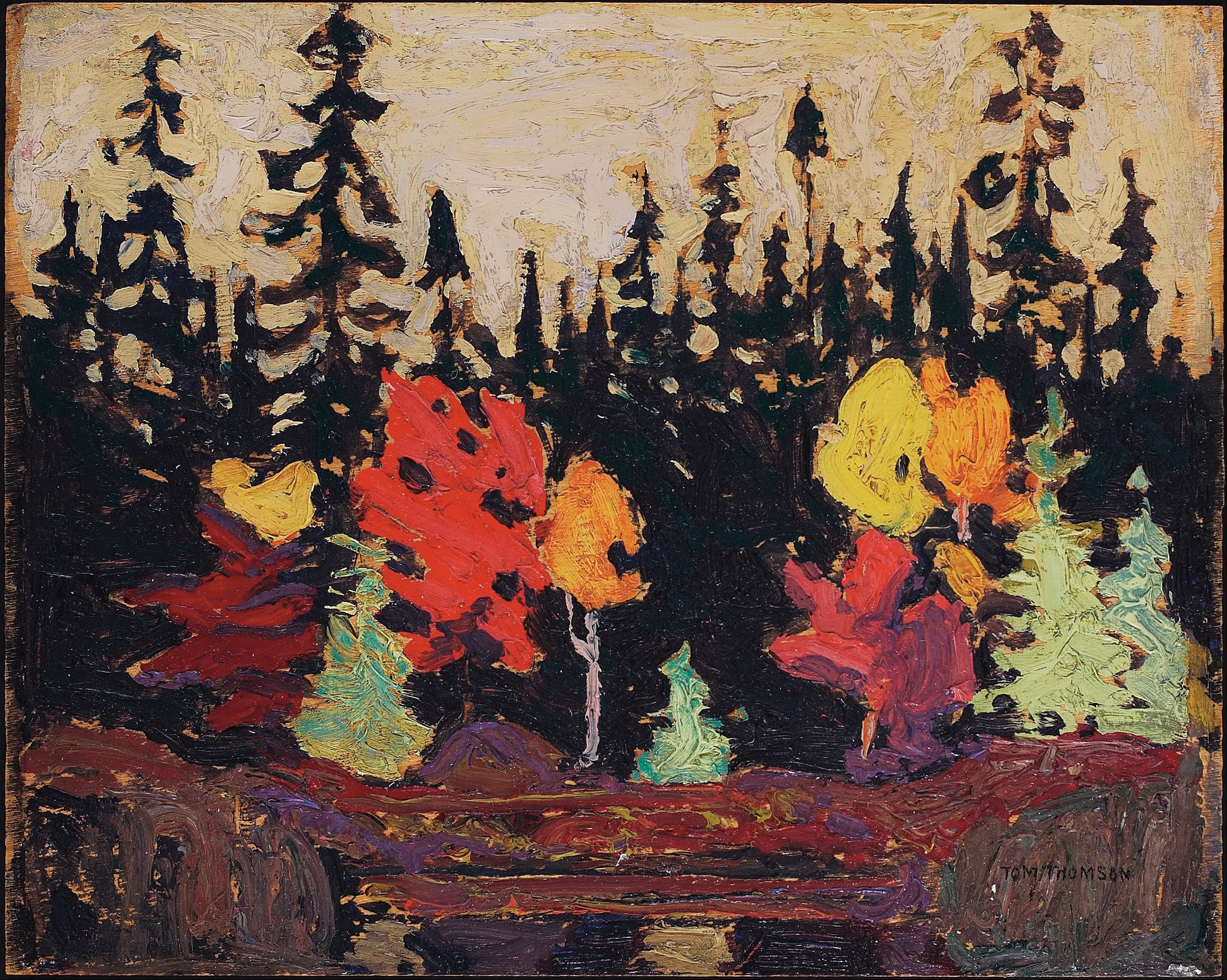 Black Spruce and Maple by Tom Thomson