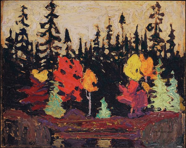 Black Spruce and Maple by Tom Thomson