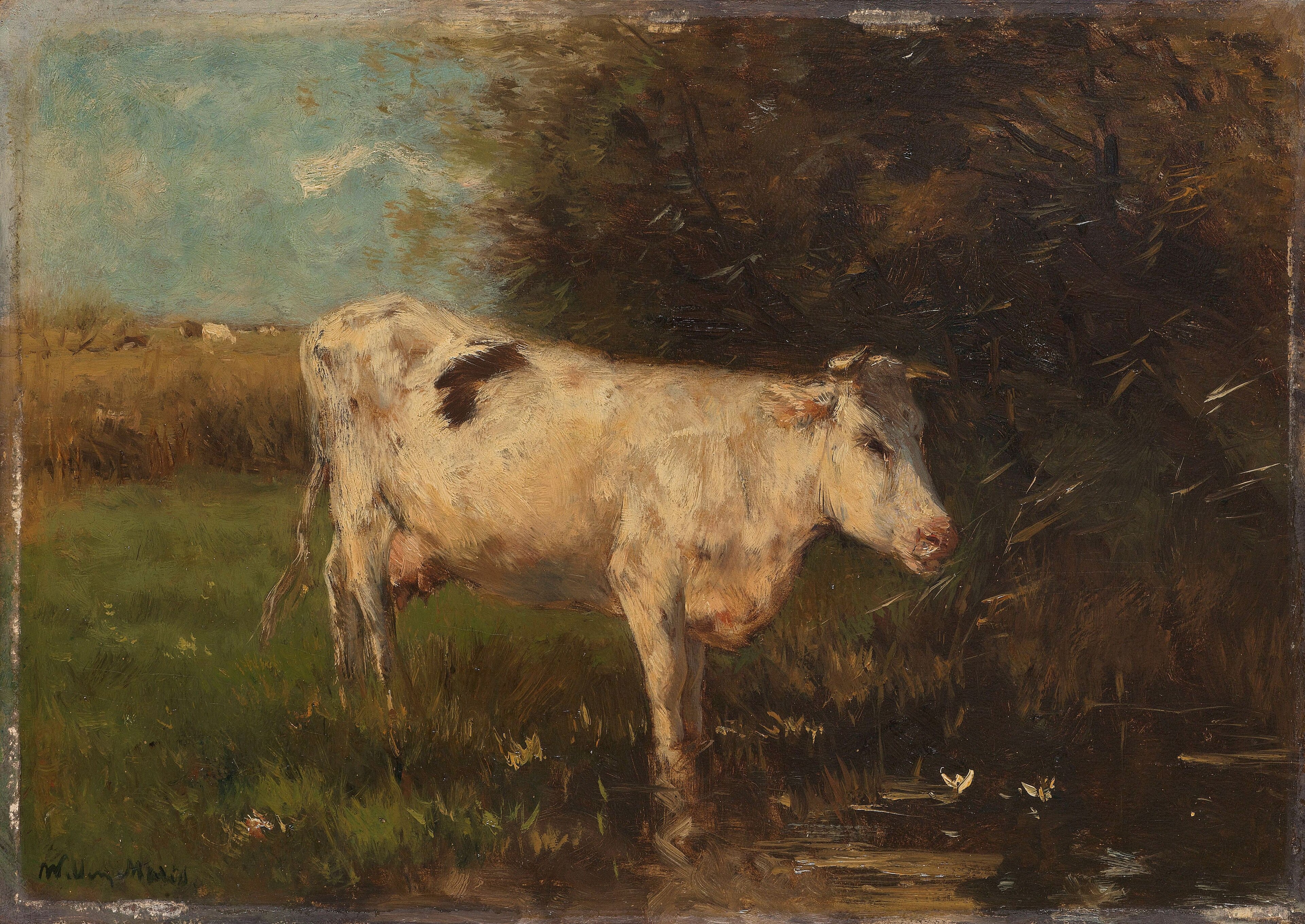 Witte koe by Willem Maris
