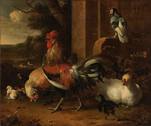 Hoenderhof by Melchior d' Hondecoeter