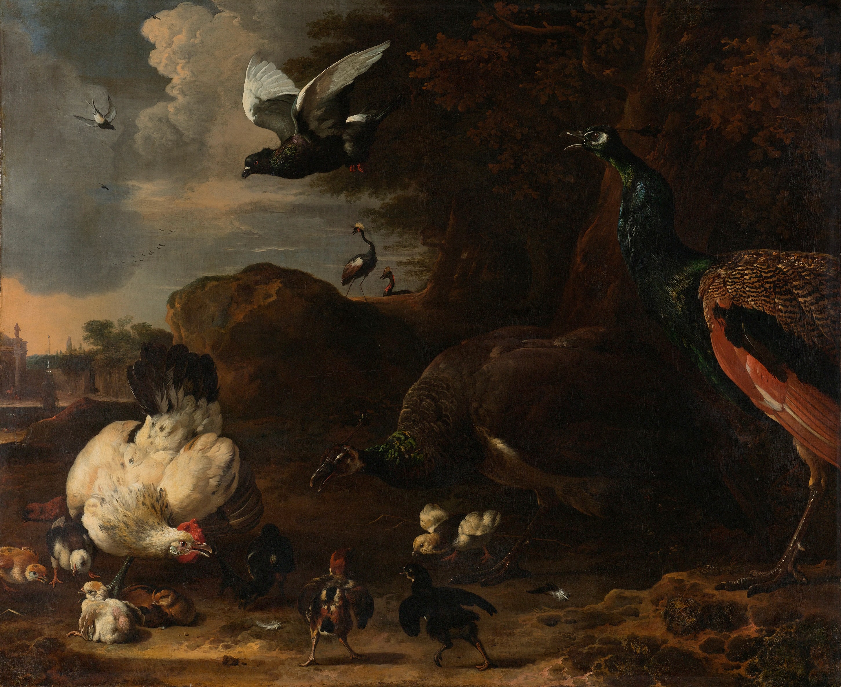 Een hen met kuikens bedreigd door twee pauwen, bekend als ‘De bedreigde hen’ by Melchior d' Hondecoeter