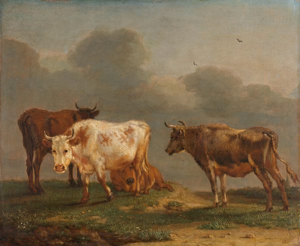 Vier koeien in de wei by Paulus Potter