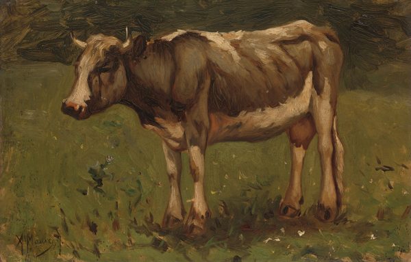 Koe by Anton Mauve