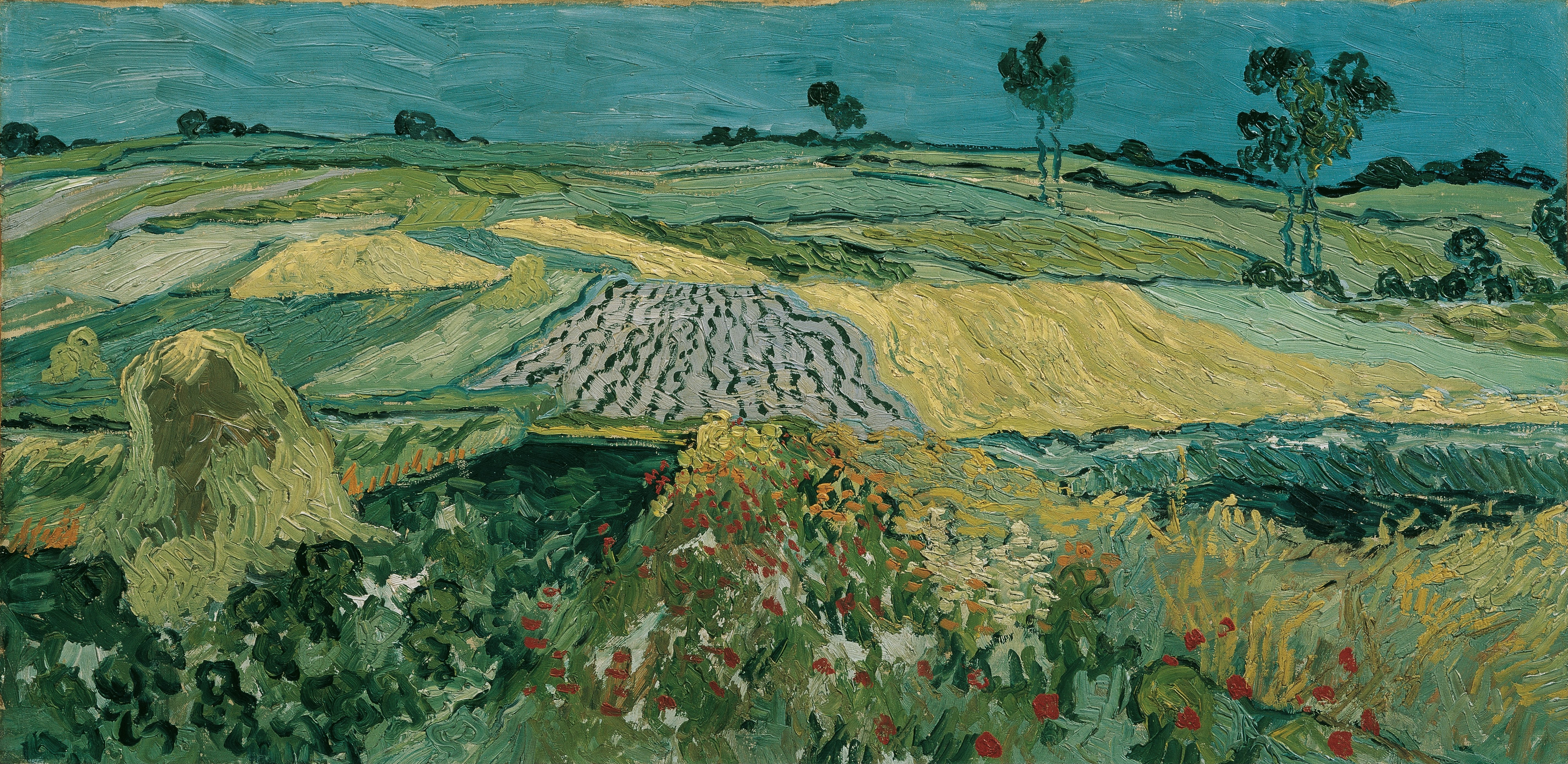 The Plain of Auvers, 1890, by Vincent van Gogh