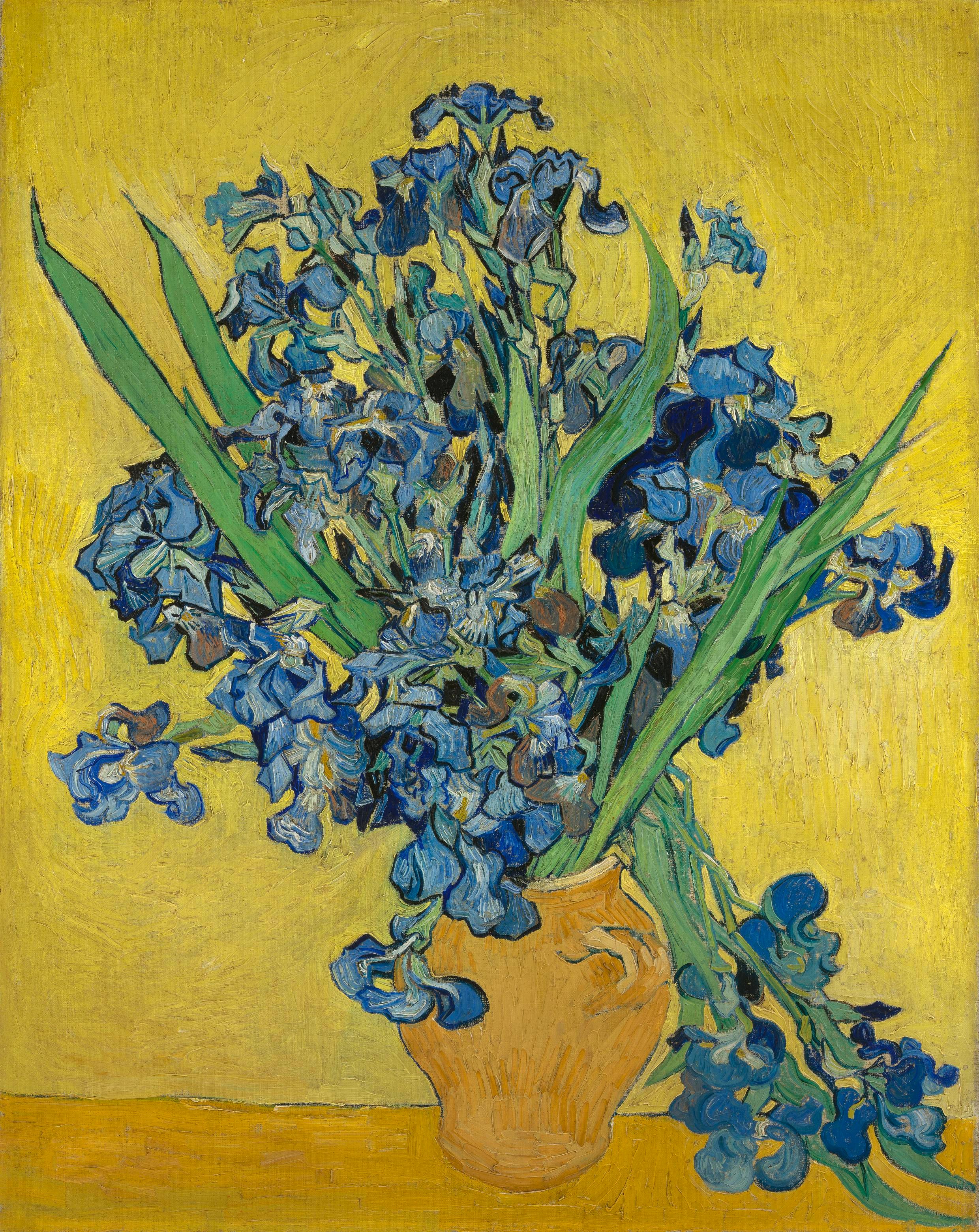 Irises, 1889, by Vincent van Gogh
