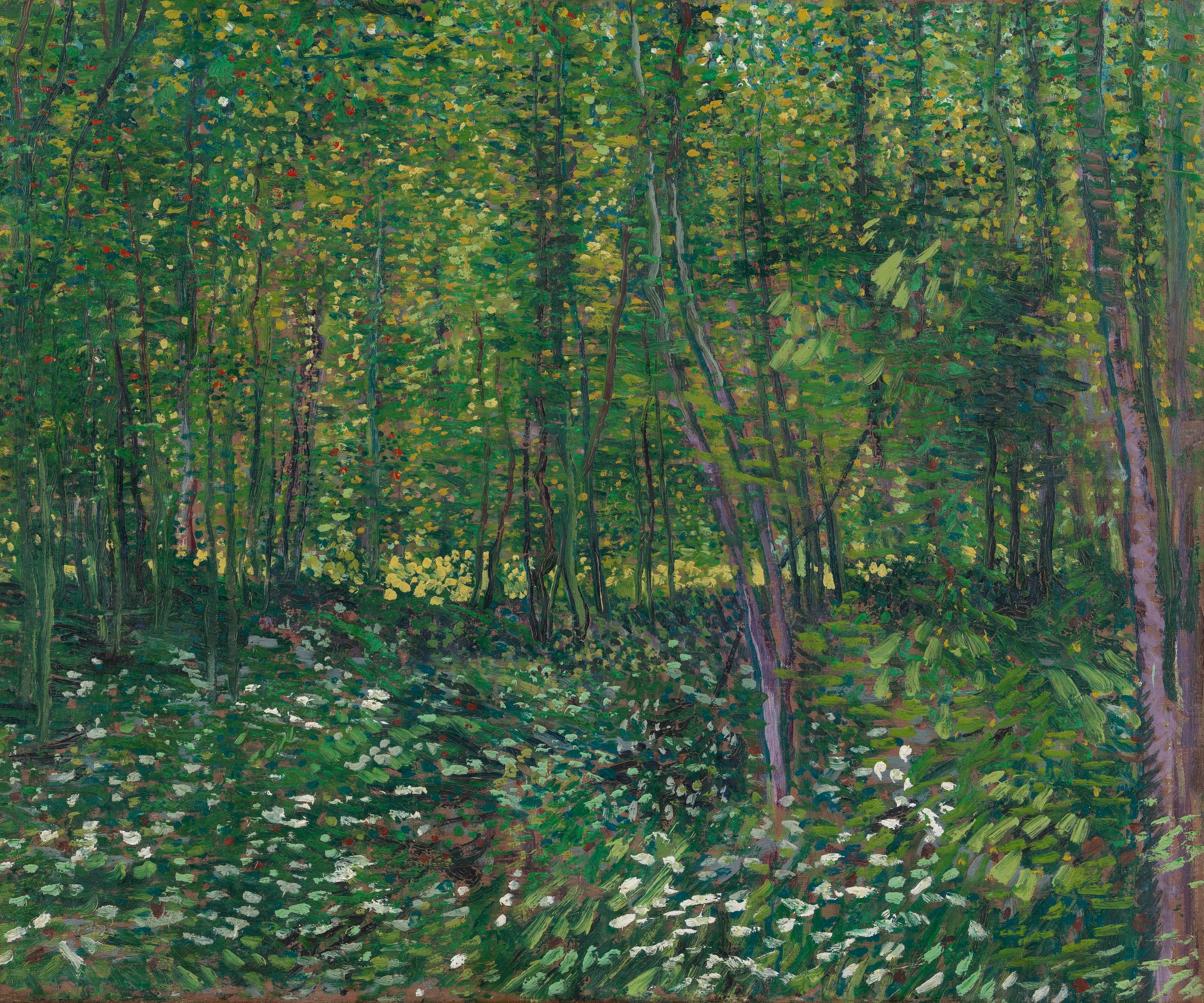 Trees and Undergrowth, 1887, by Vincent van Gogh