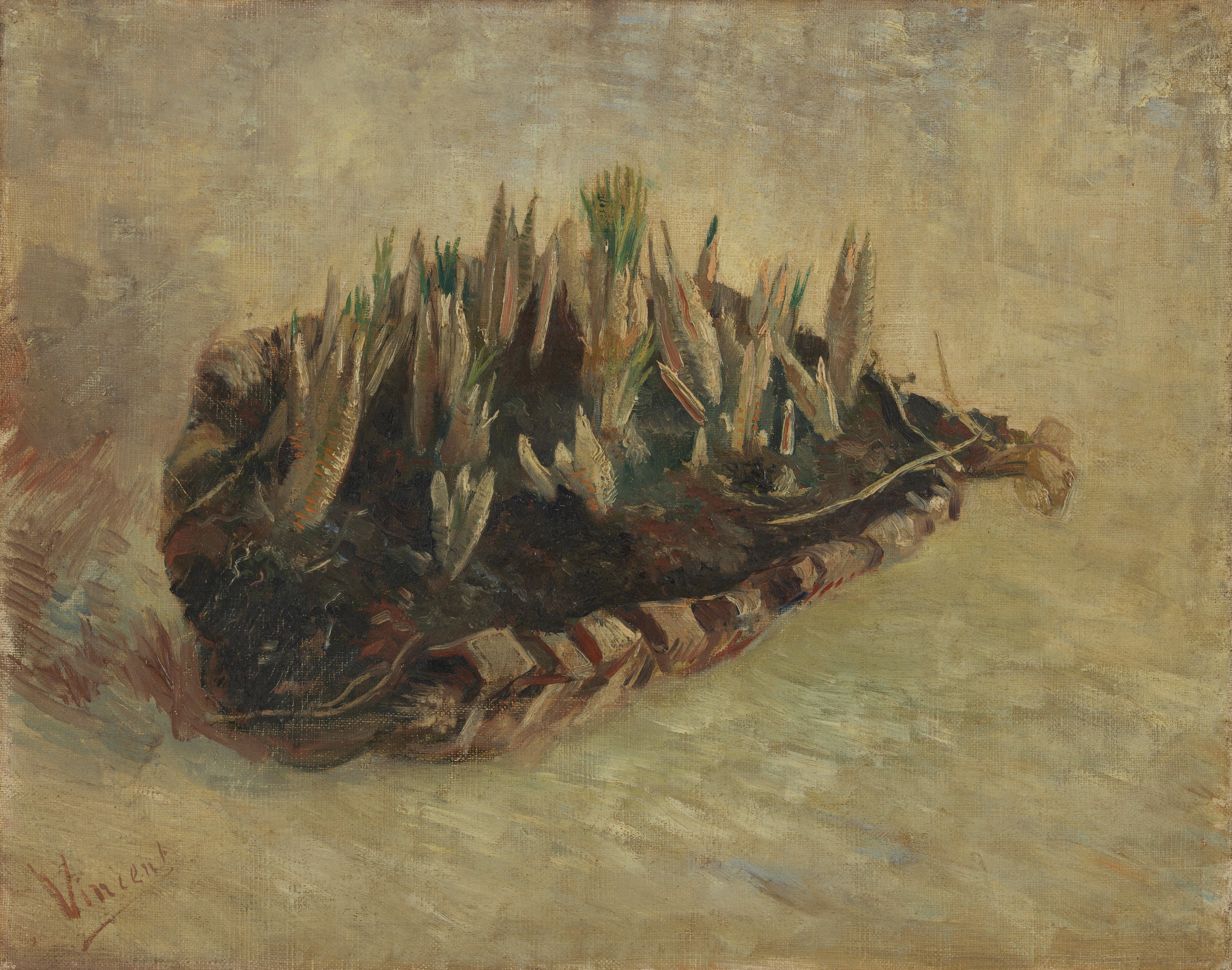 Basket of Crocus Bulbs, 1887, by Vincent van Gogh