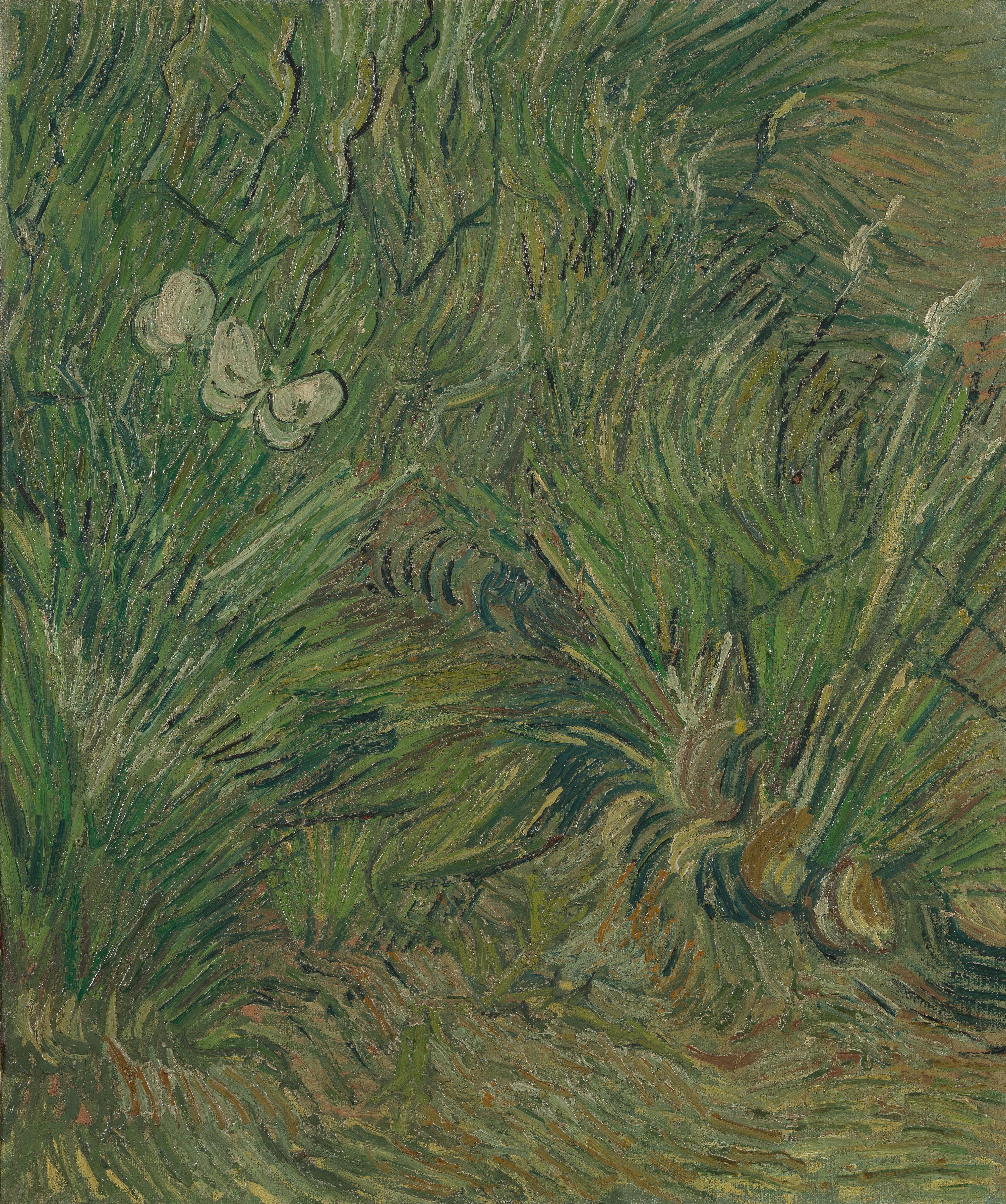 Garden with Butterflies, 1890, by Vincent van Gogh