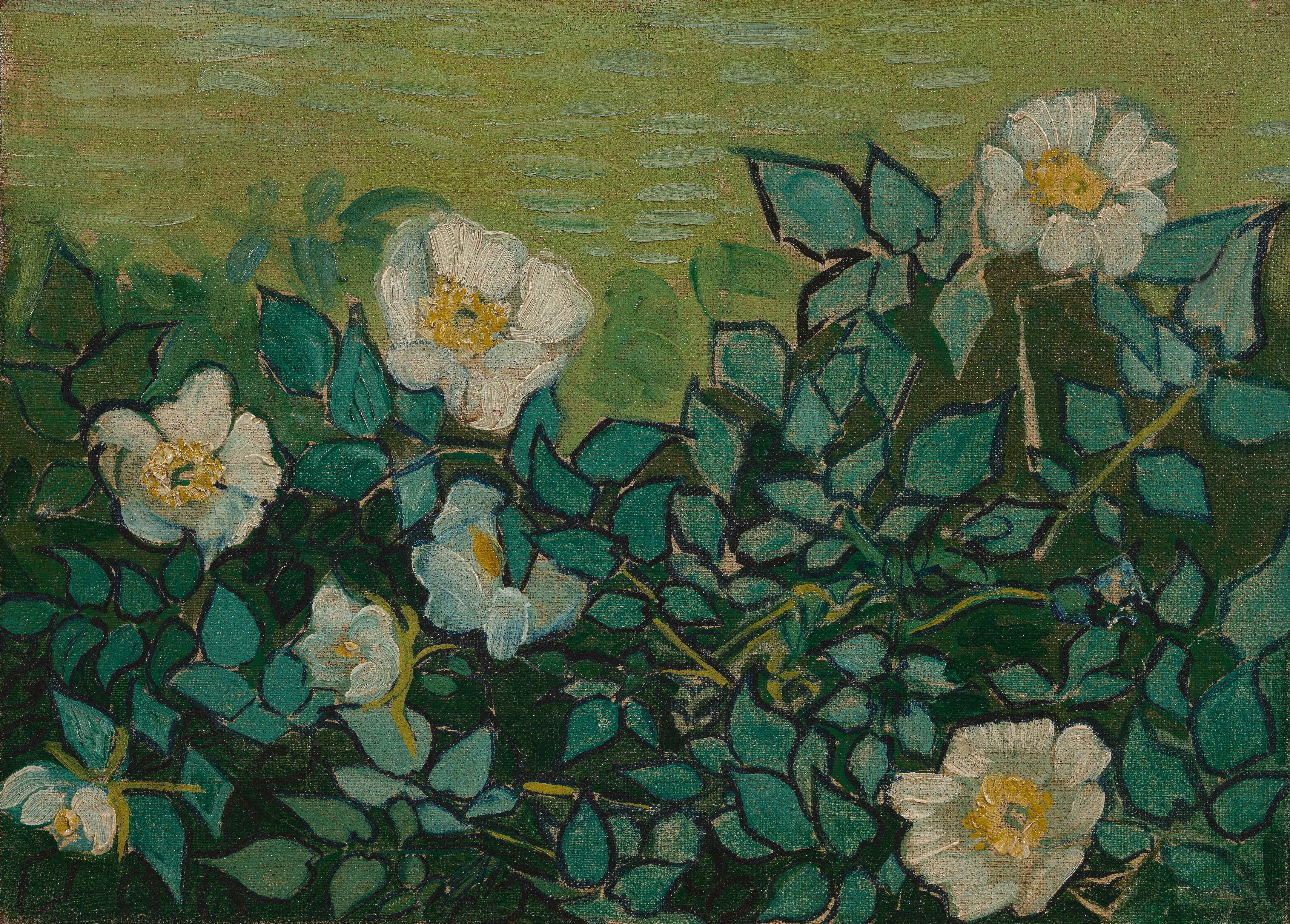 Wild Roses, 1889, by Vincent van Gogh