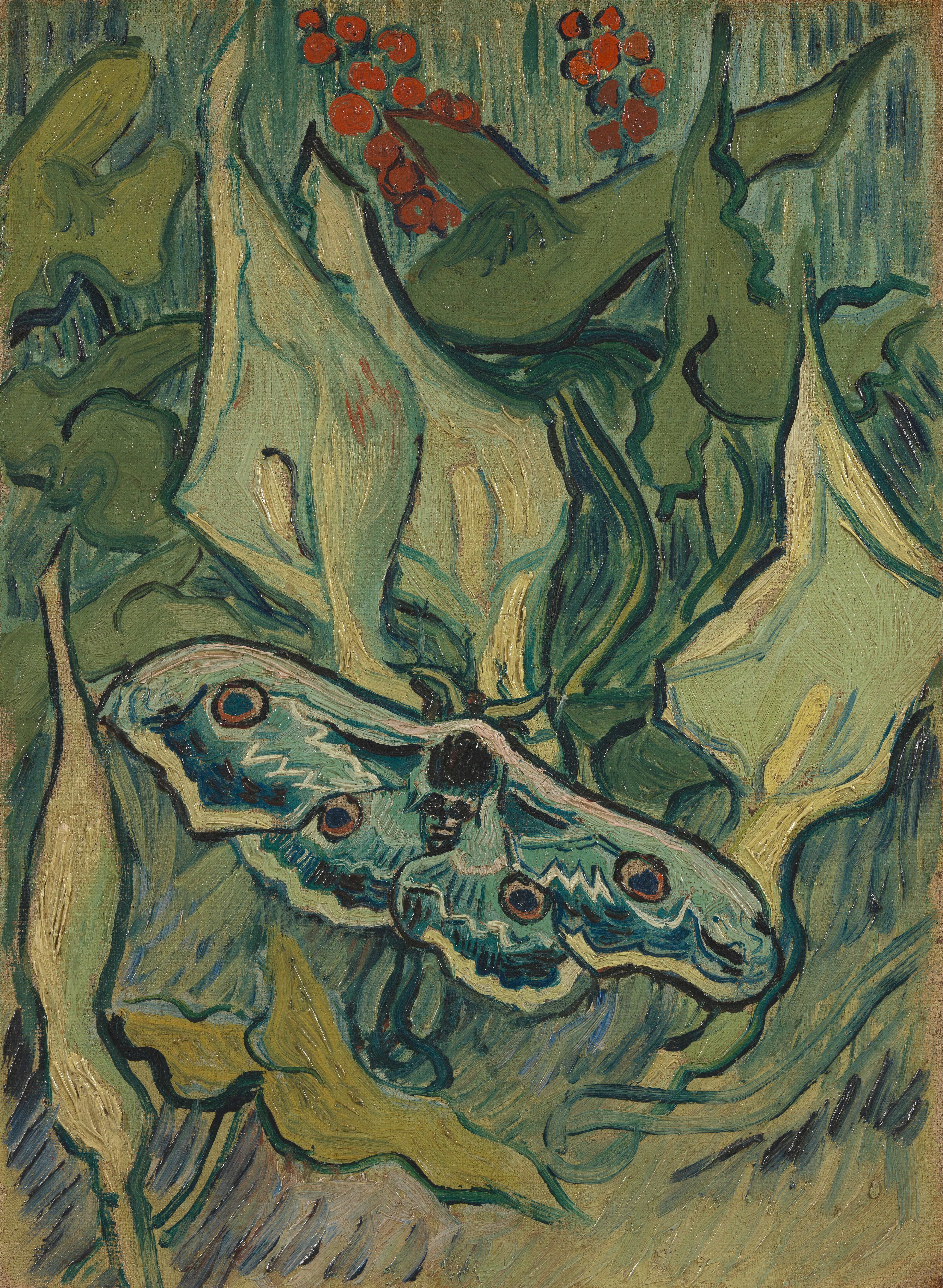 Giant Peacock Moth, 1889, by Vincent van Gogh