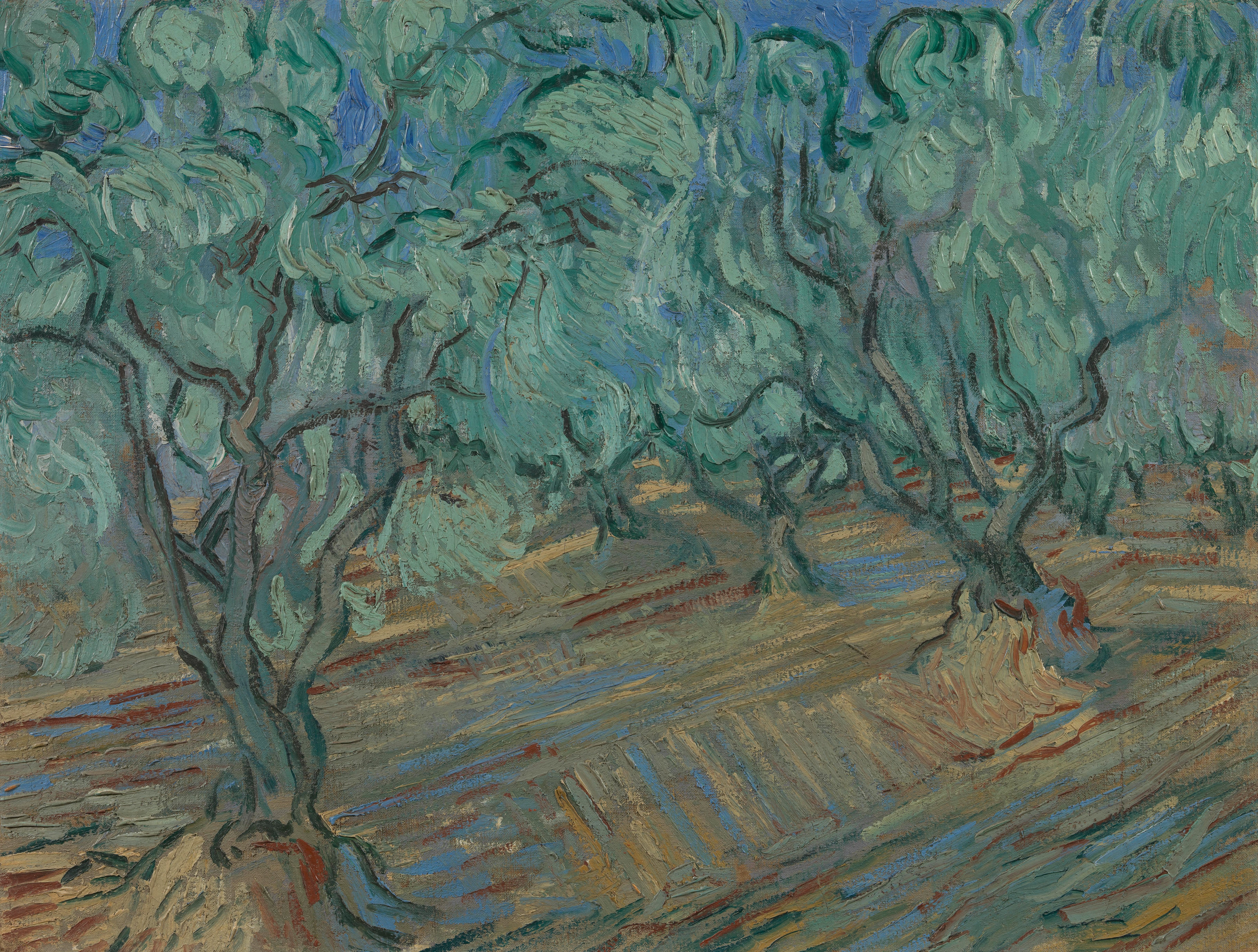 Olive Grove, 1889, by Vincent van Gogh