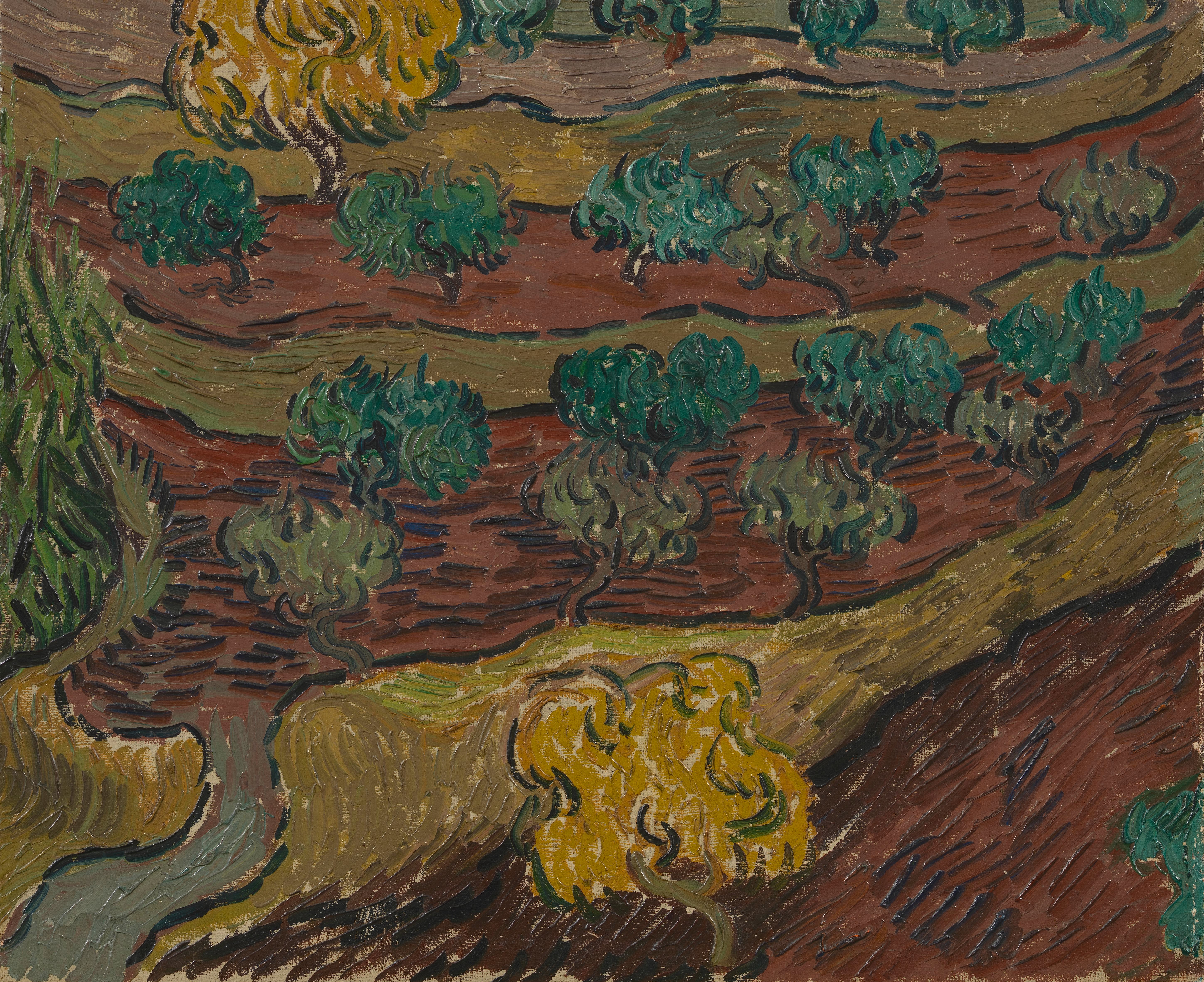 Olive Trees on a Hillside, 1889, by Vincent van Gogh