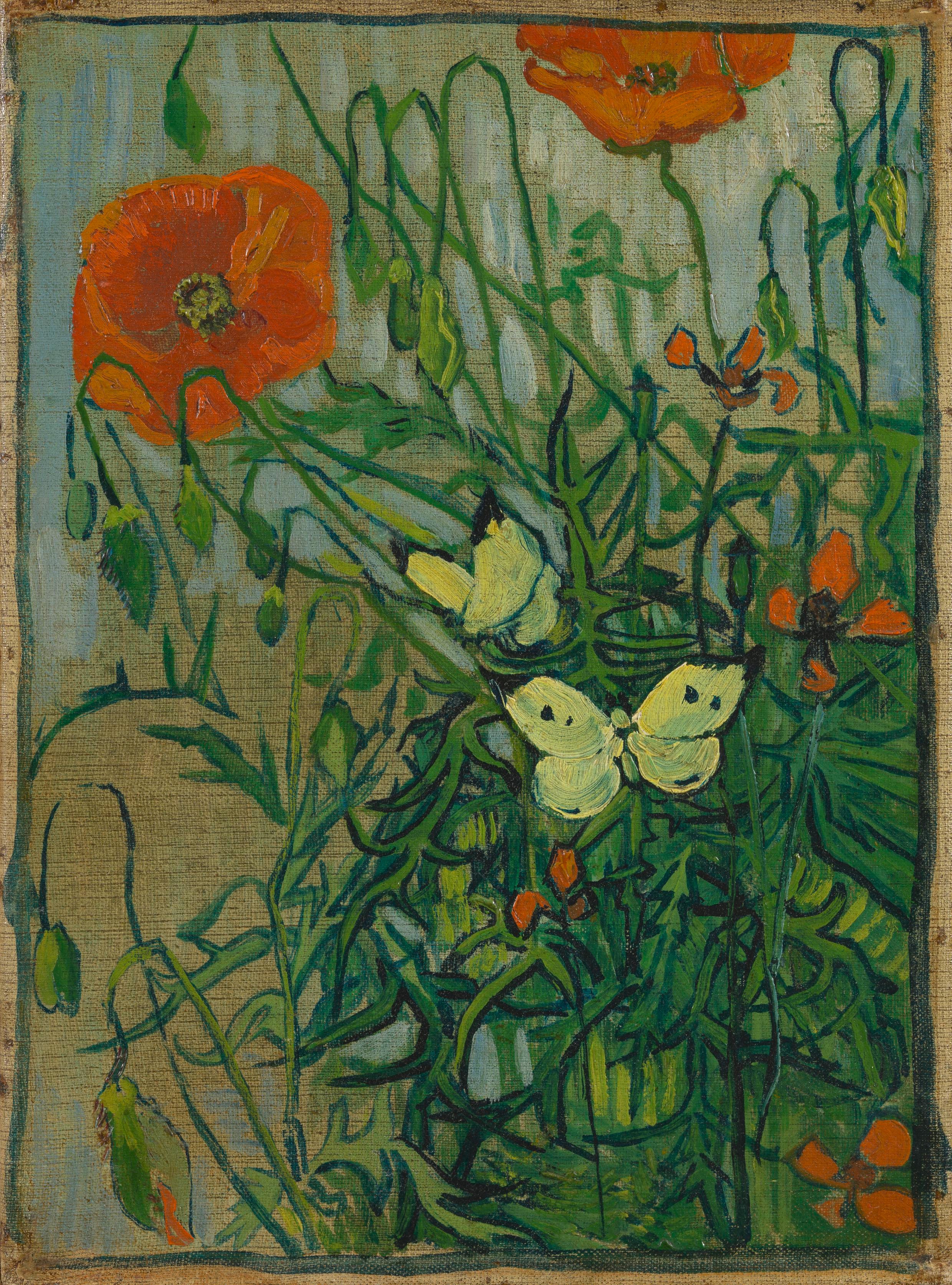 Butterflies and Poppies, 1889, by Vincent van Gogh
