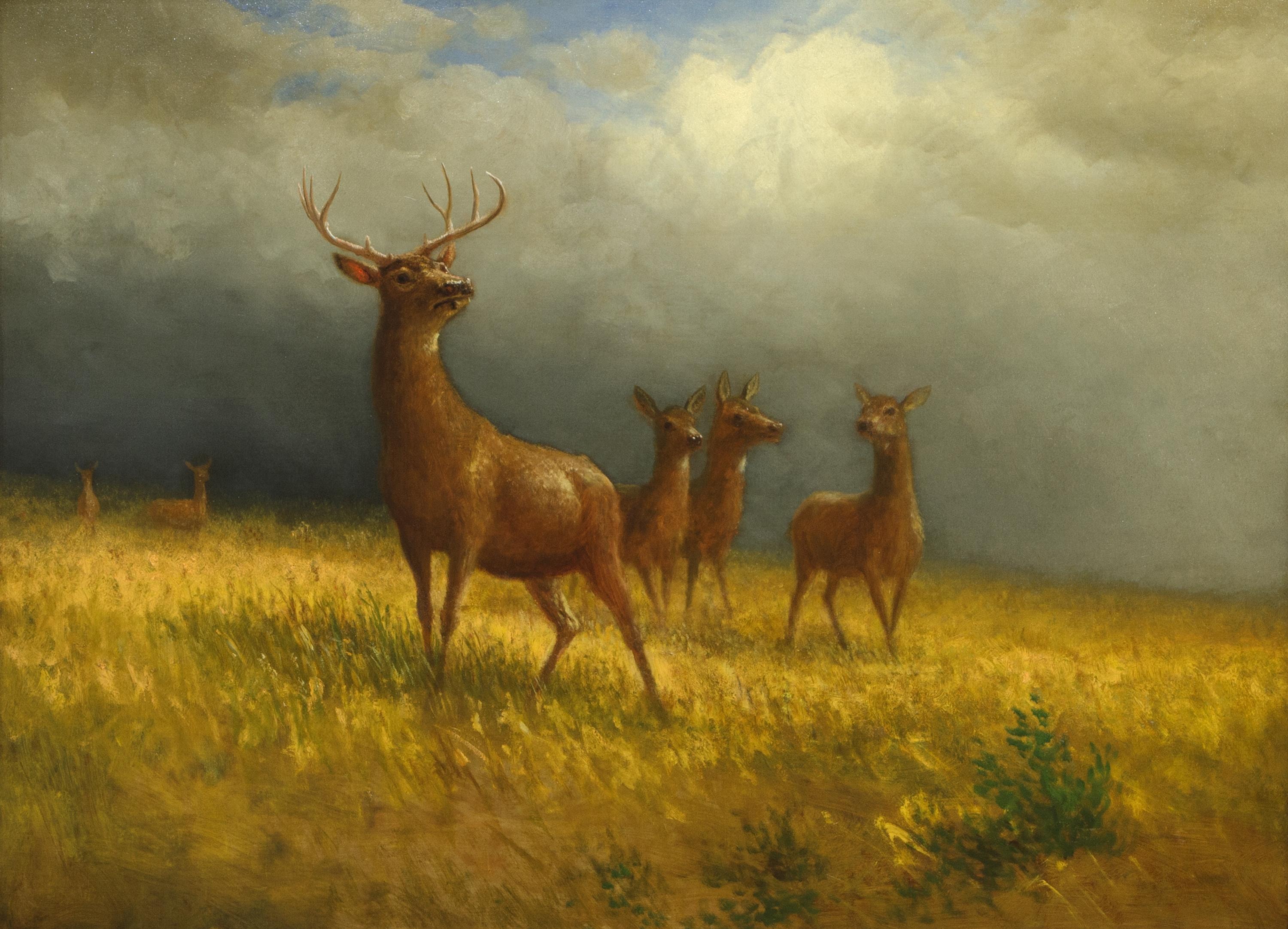Three Deer and a Stag by Albert Bierstadt