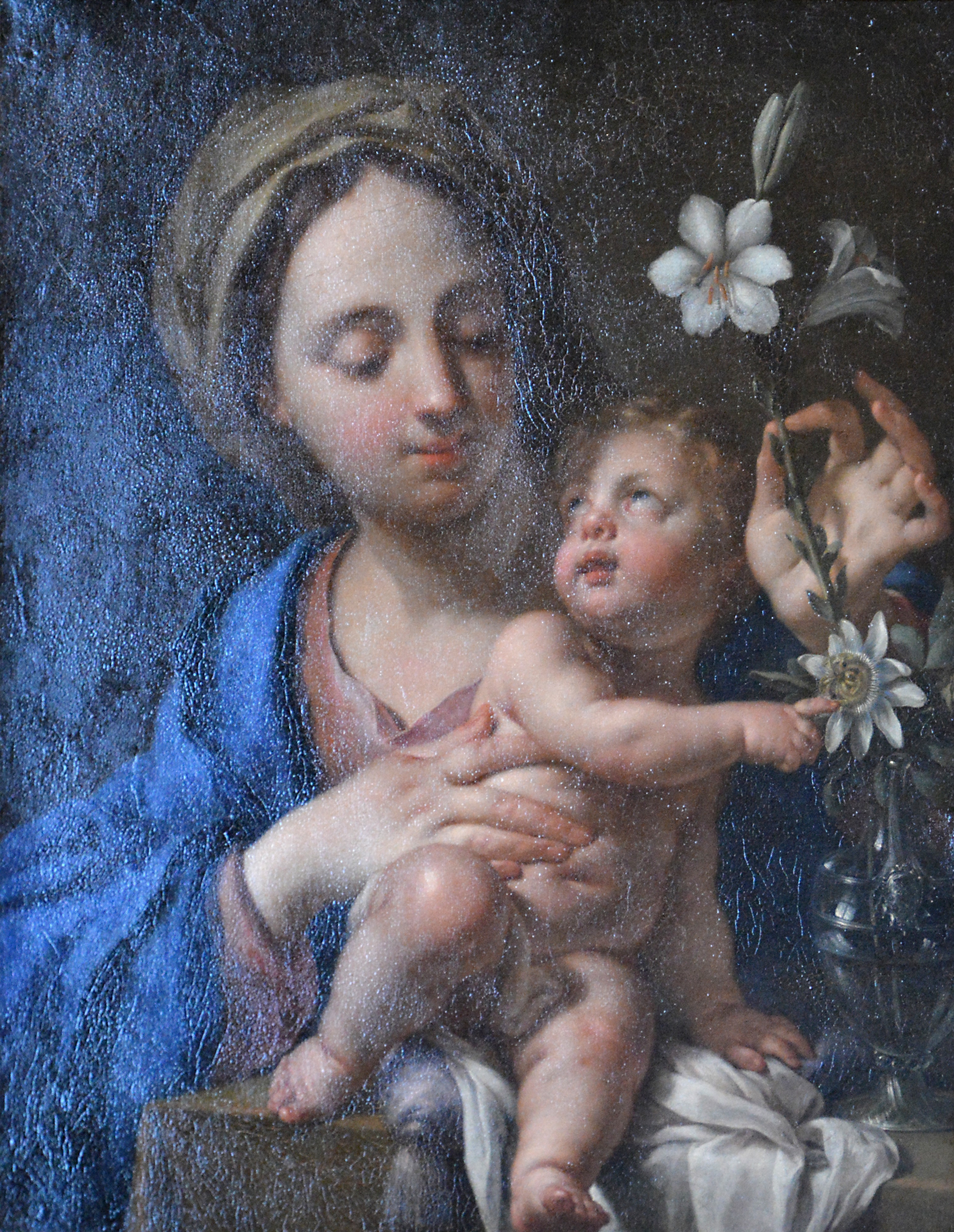 L'Enfant Jésus désignant à la Vierge les fleurs de la Passion by Francesco Trevisani