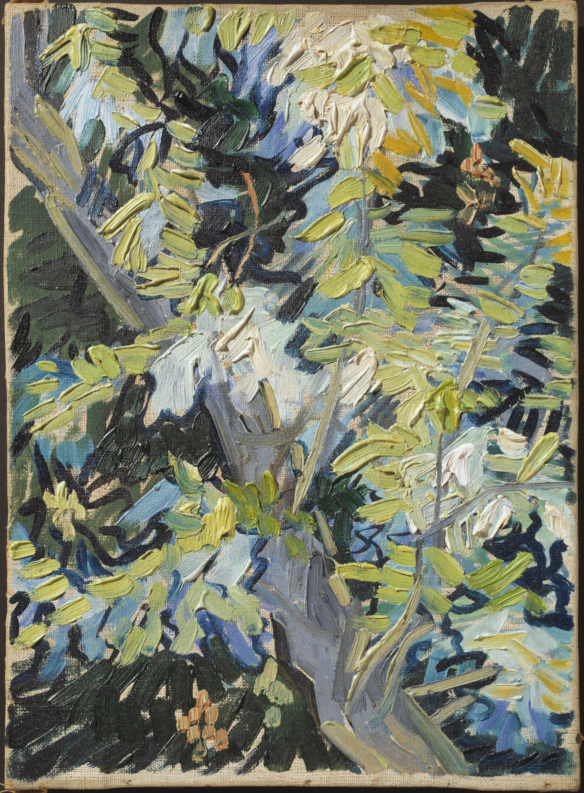 Blossoming Acacia Branches, 1890-06, by Vincent van Gogh