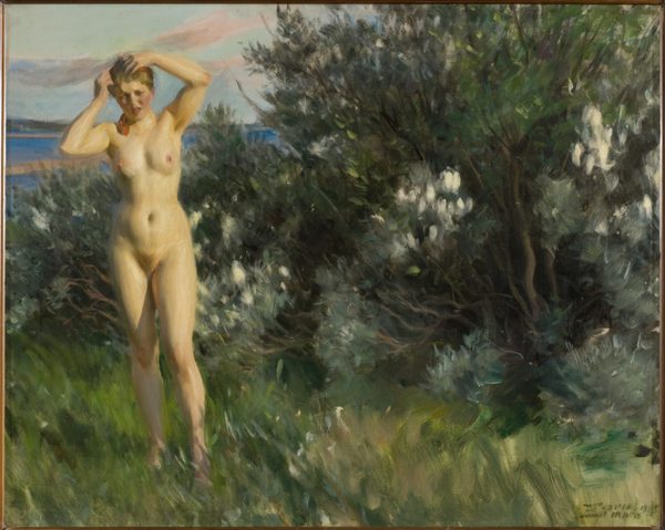 By Lake Siljan by Anders Zorn