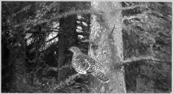Capercailzie Hen by Bruno Liljefors