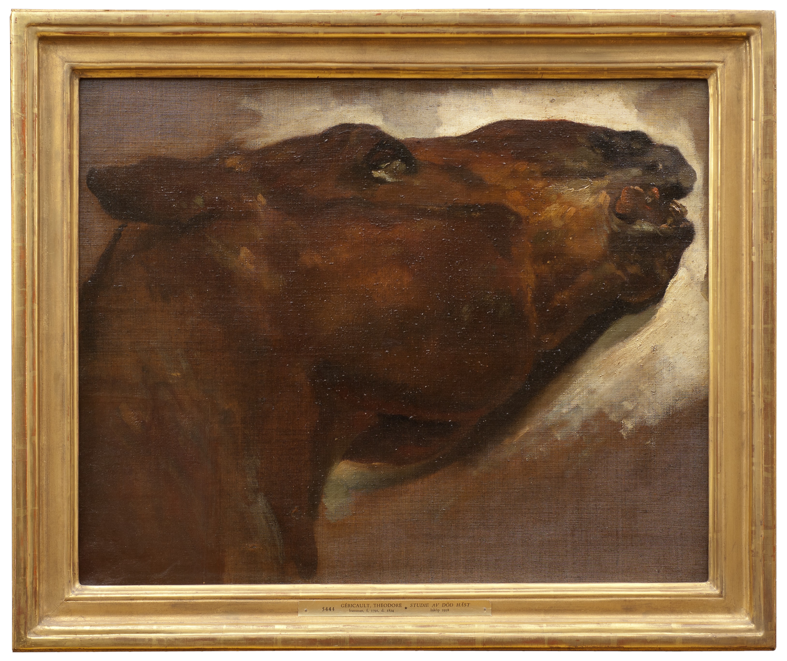 Study of a Dead Horse by Théodore Géricault