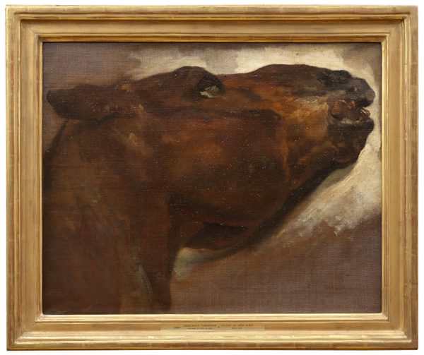 Study of a Dead Horse by Théodore Géricault