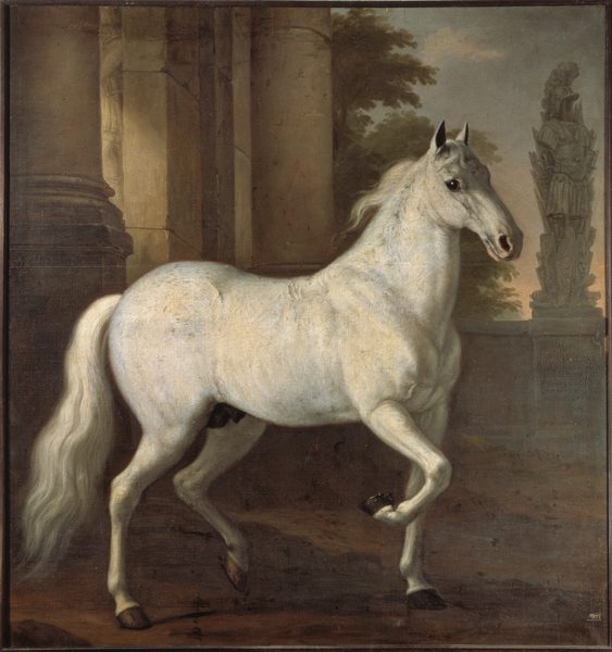 Karl XI:s livhäst Brilliant by David Klöcker Ehrenstrahl
