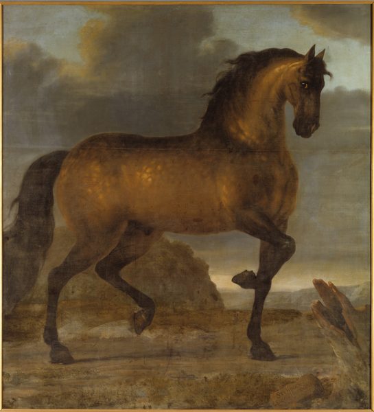 Karl XI:s livhäst Stenbock by David Klöcker Ehrenstrahl