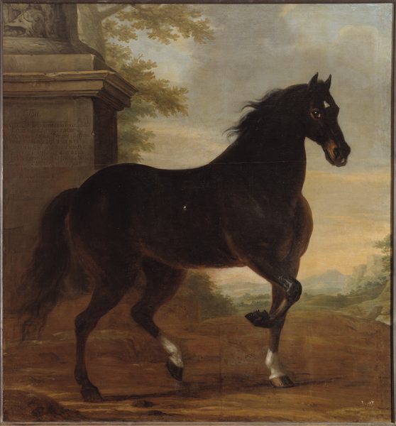 Karl XI:s livhäst Tott by David Klöcker Ehrenstrahl
