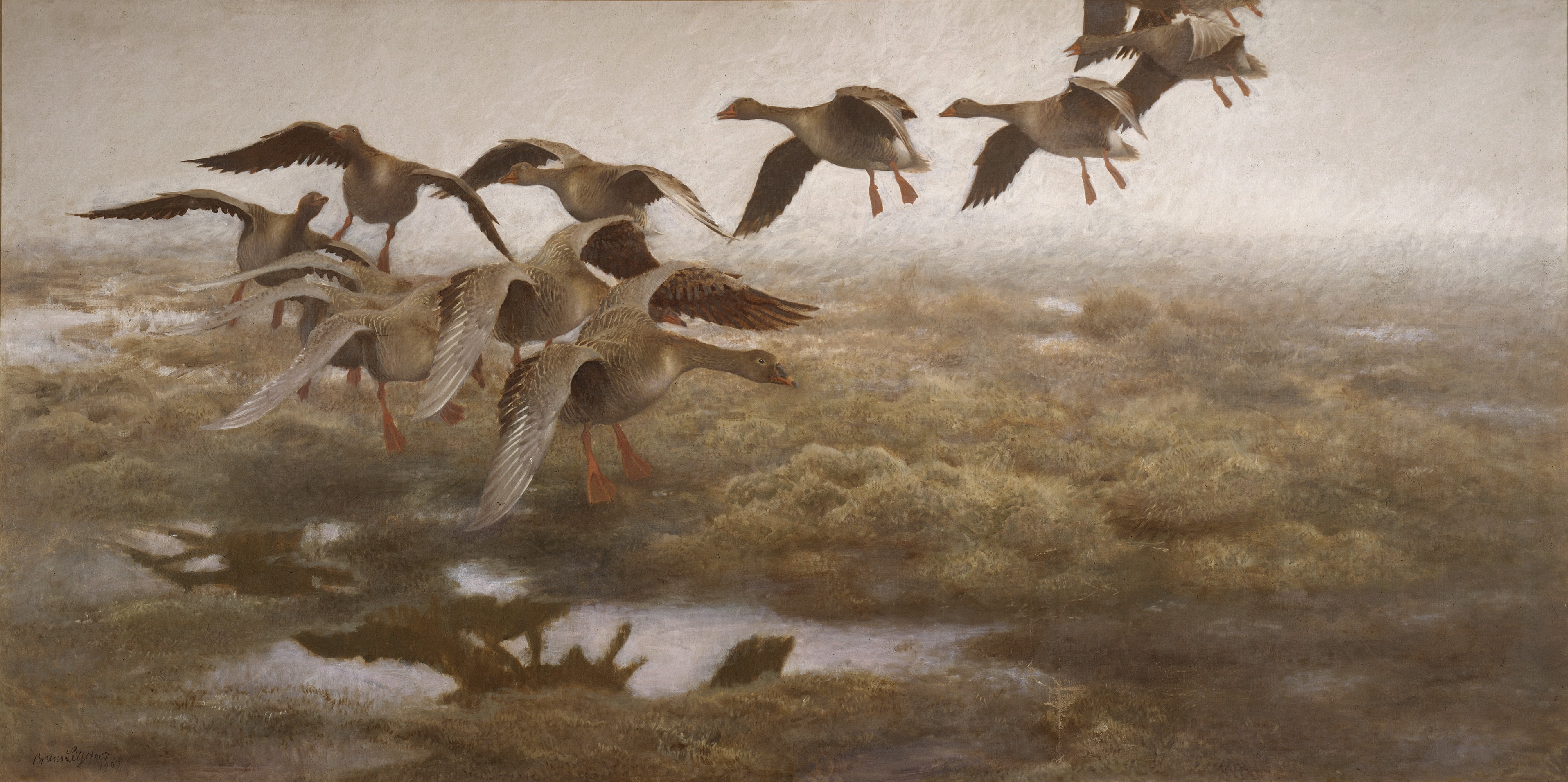Wildgeese Settling by Bruno Liljefors