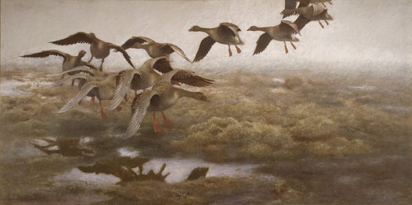 Wildgeese Settling by Bruno Liljefors
