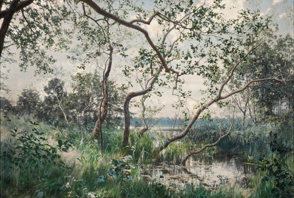 Water Vegetation. Motif from Östergötland by Johan Krouthén