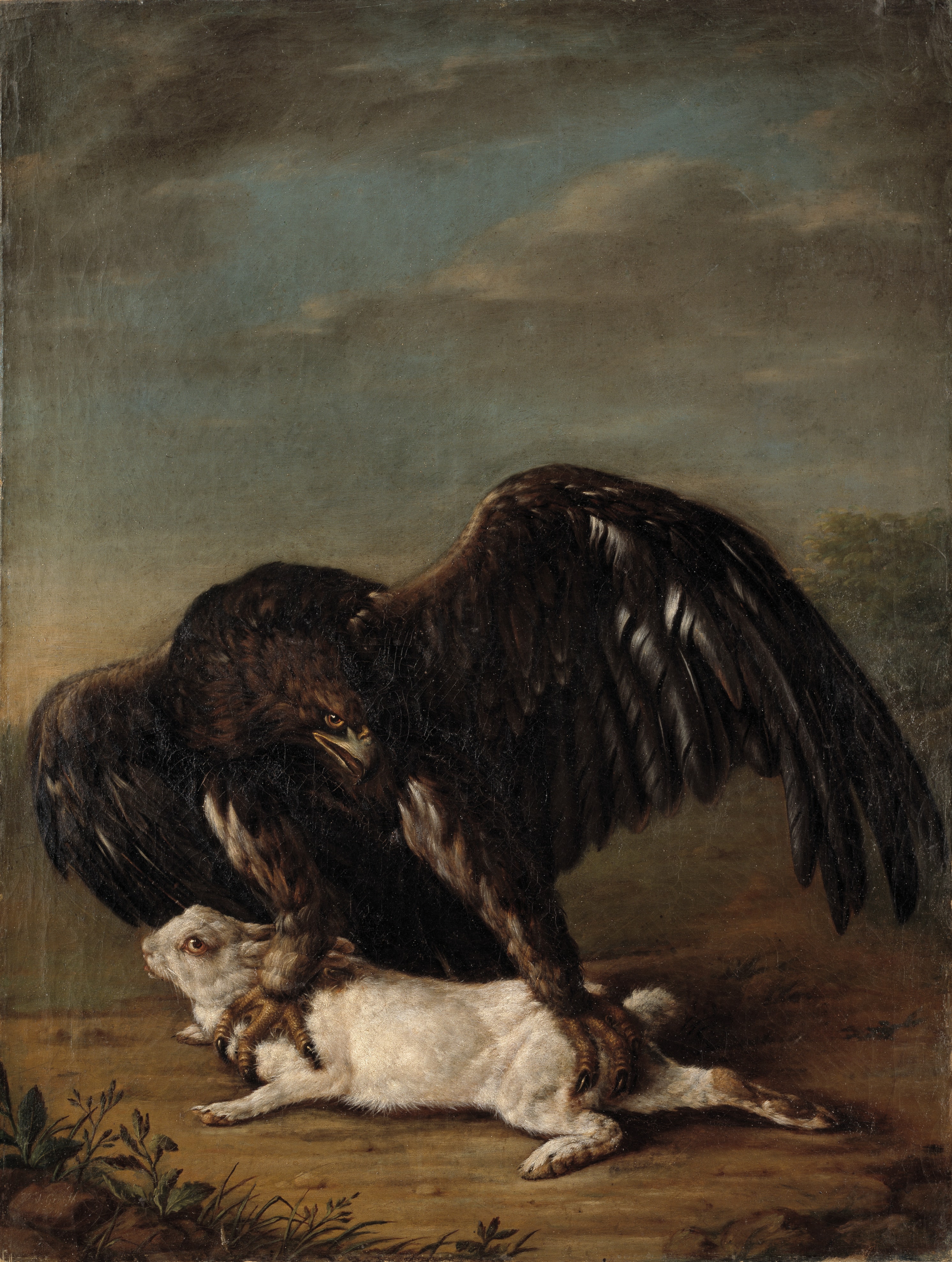Eagle Catching a Hare by Johann Friedrich Grooth