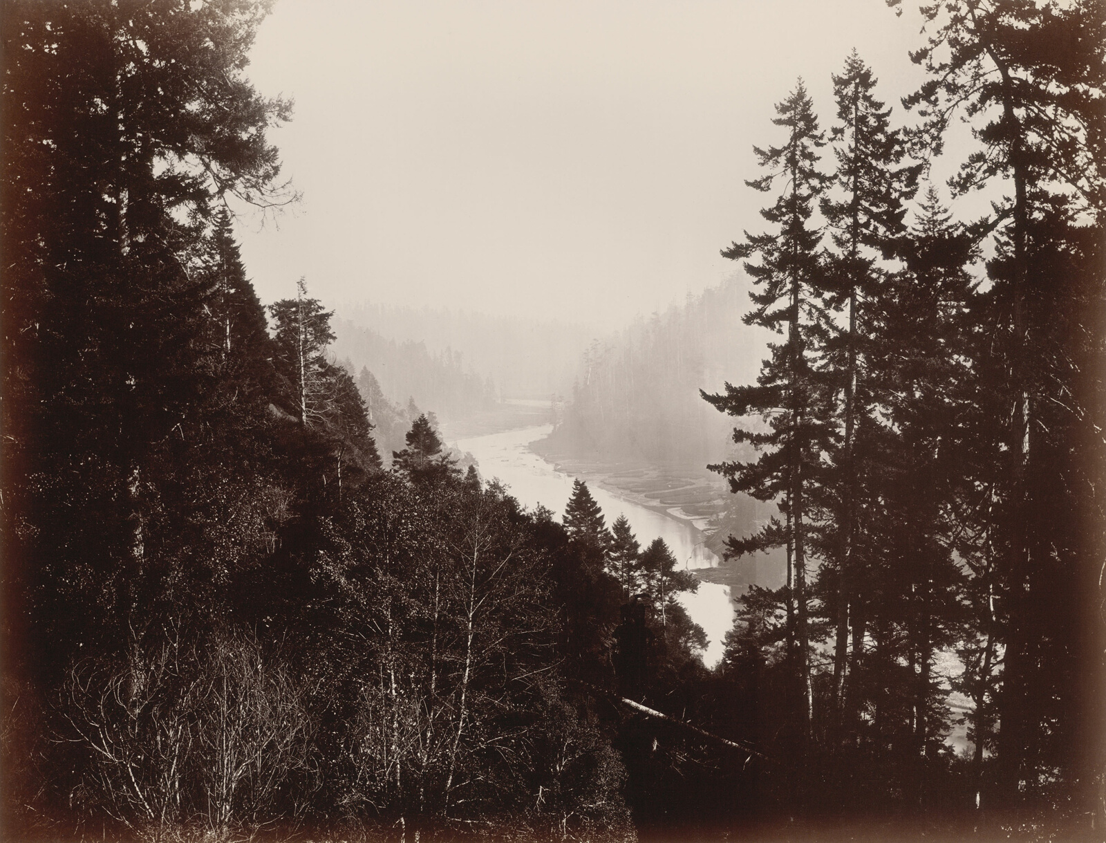Black and white photograph of river seen through pine tree forest.