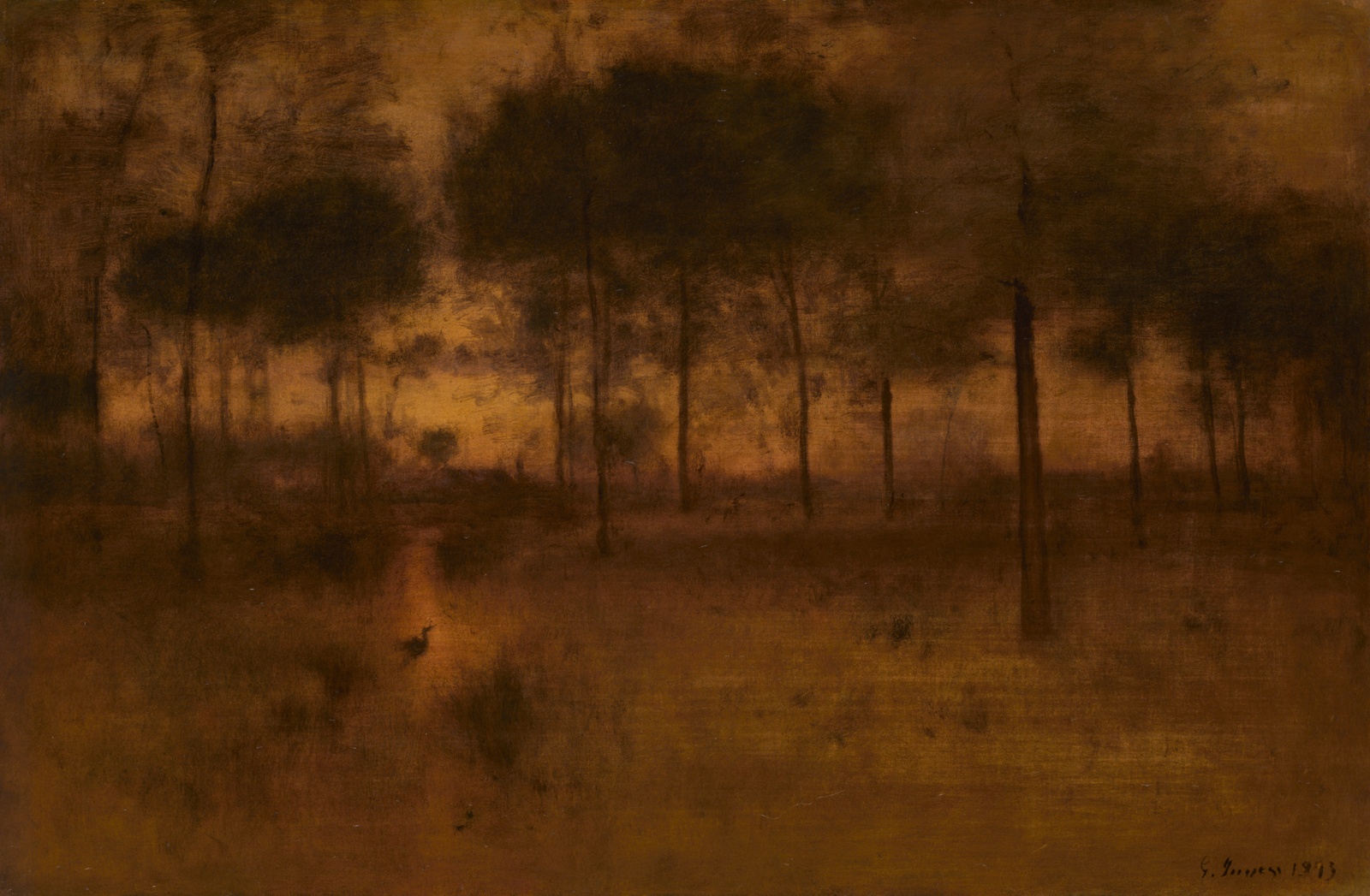 A heronǳ silhouette sits amongst the brush in a golden hued forest.
