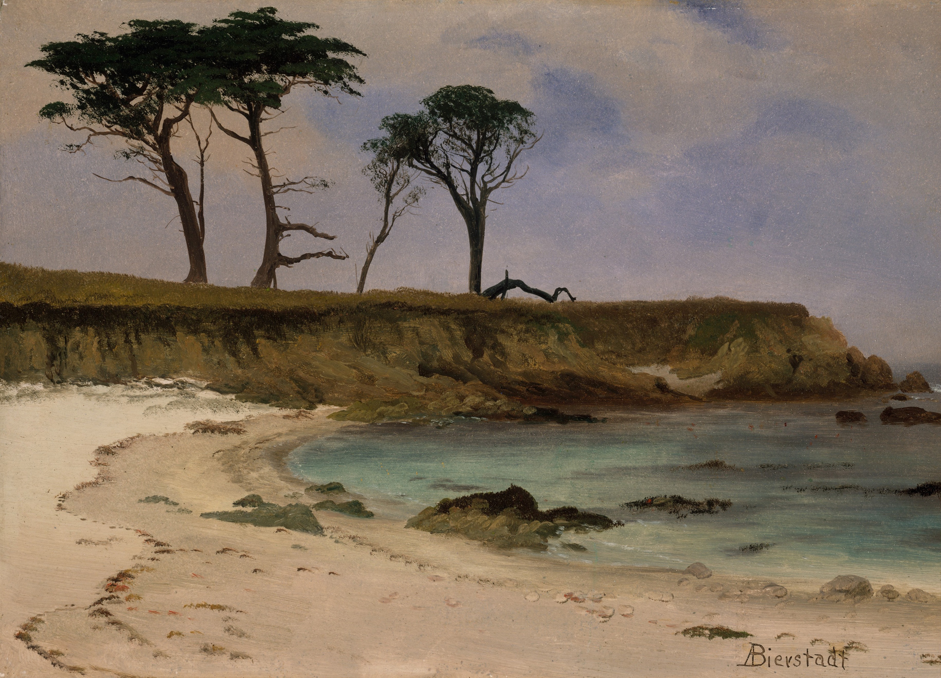 Sea Cove by Albert Bierstadt