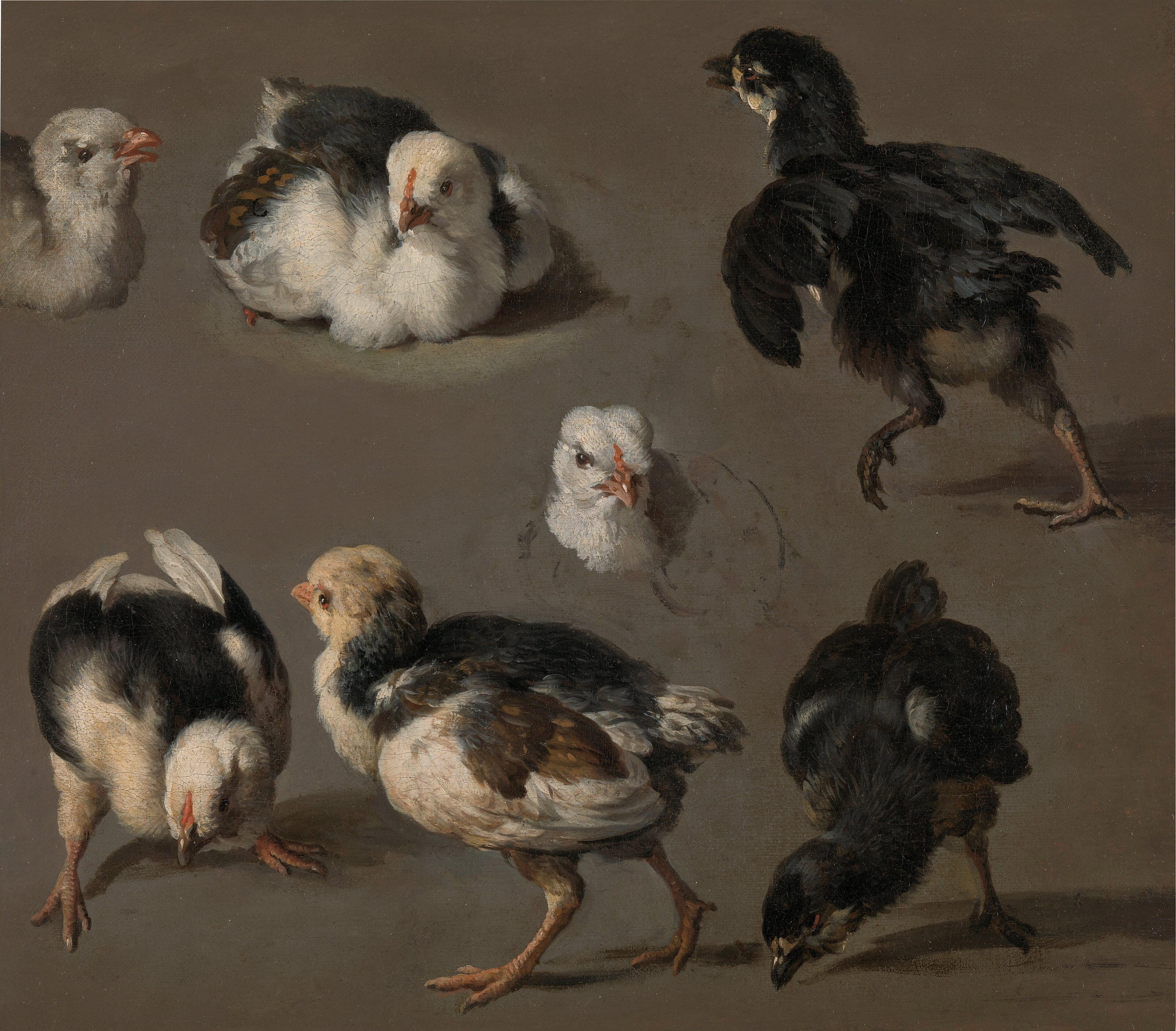 Seven Chicks by Melchior d'Hondecoeter Rijksmuseum Amsterdam SK-A-5023 by Melchior d'Hondecoeter