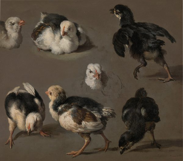 Seven Chicks by Melchior d'Hondecoeter Rijksmuseum Amsterdam SK-A-5023 by Melchior d'Hondecoeter