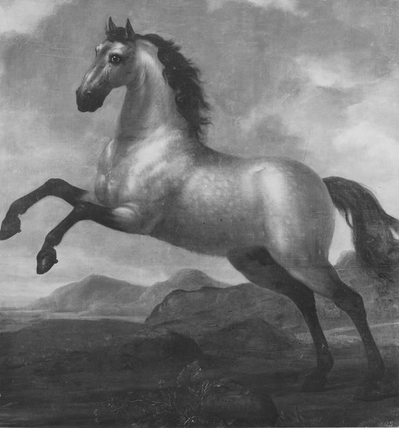Karl XI:s livhäst Falck by David Klöcker Ehrenstrahl