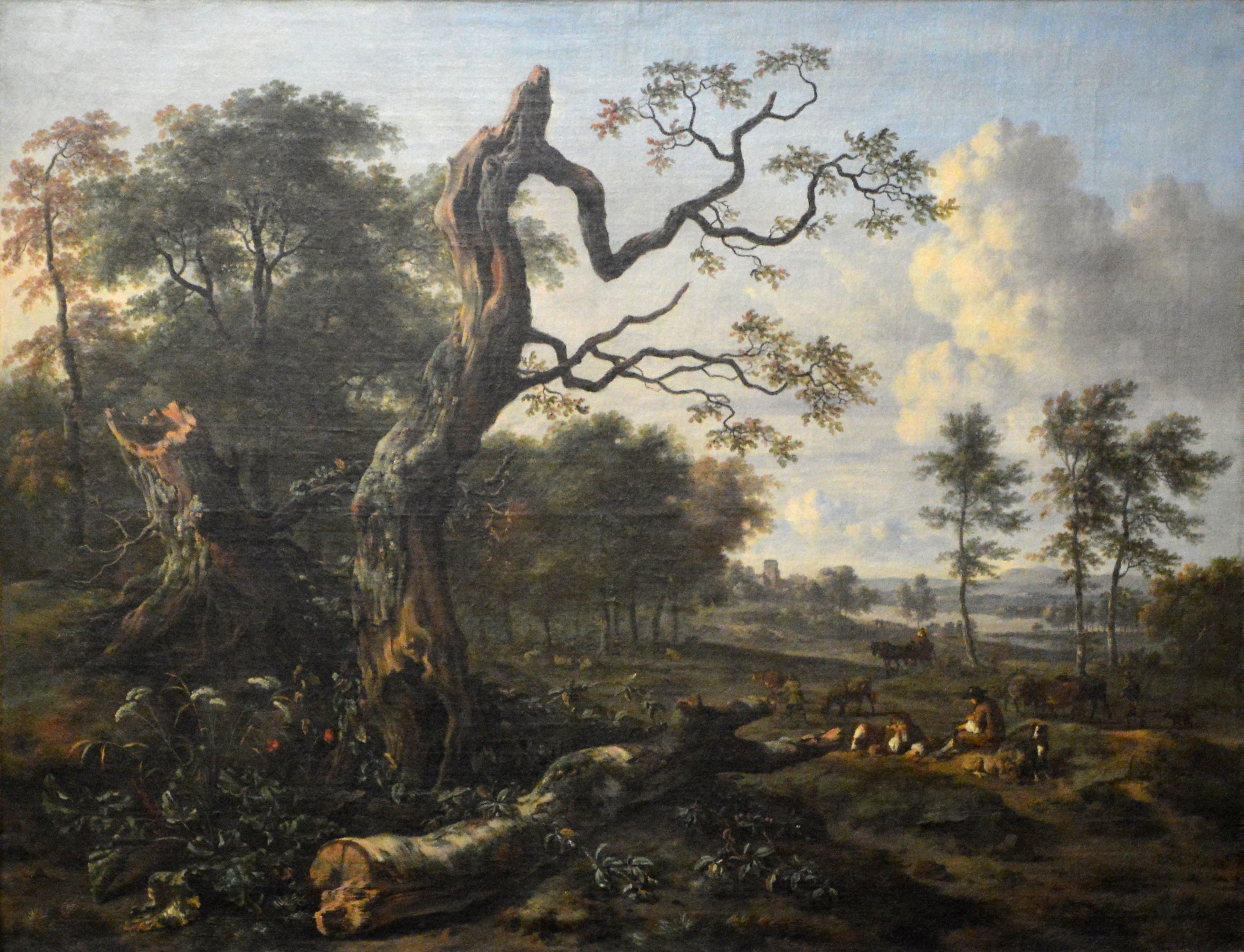 French: Lisière de forêt by Sander Boschker
