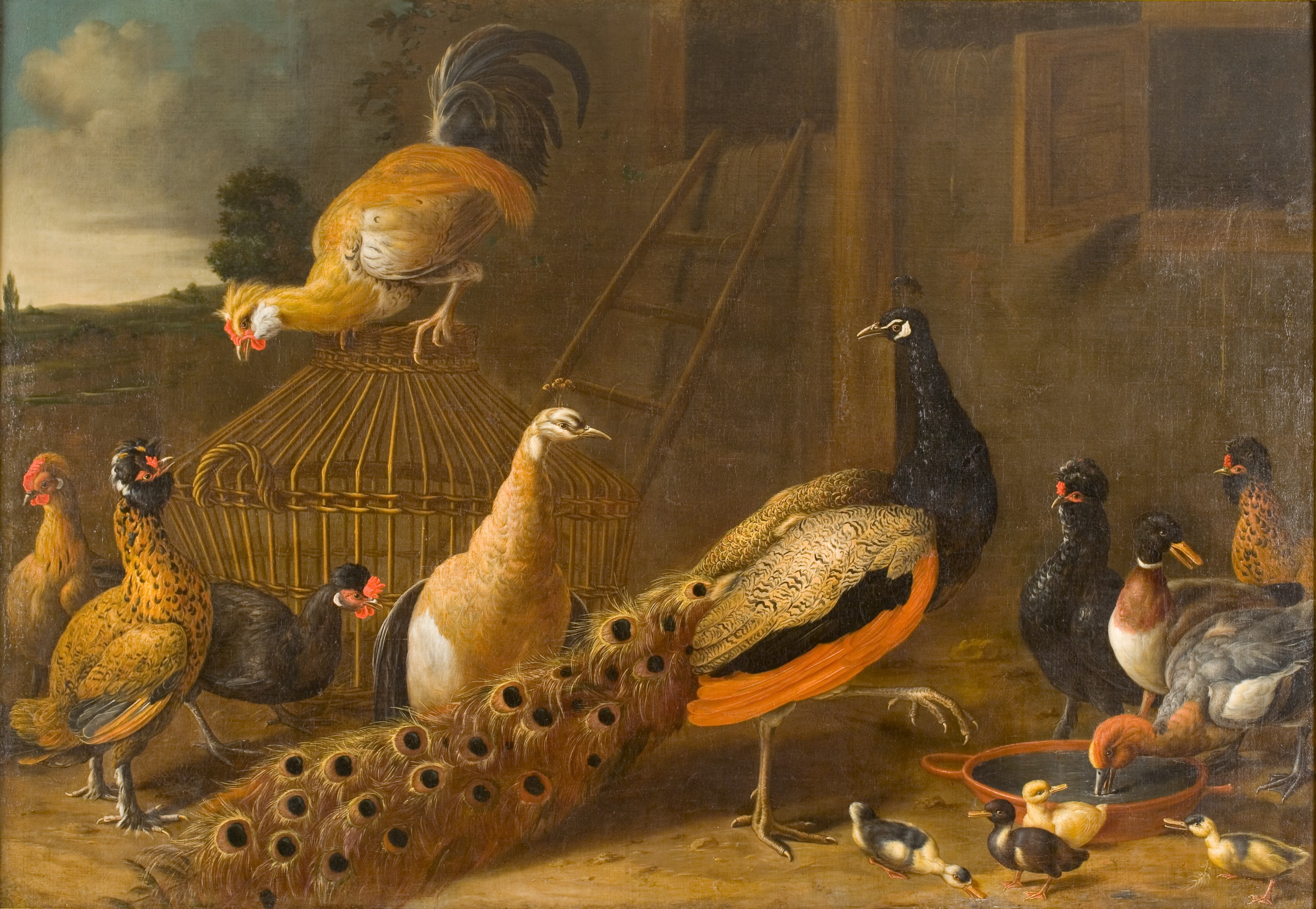 Hoenderhof by Melchior d'Hondecoeter
