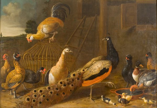 Hoenderhof by Melchior d'Hondecoeter