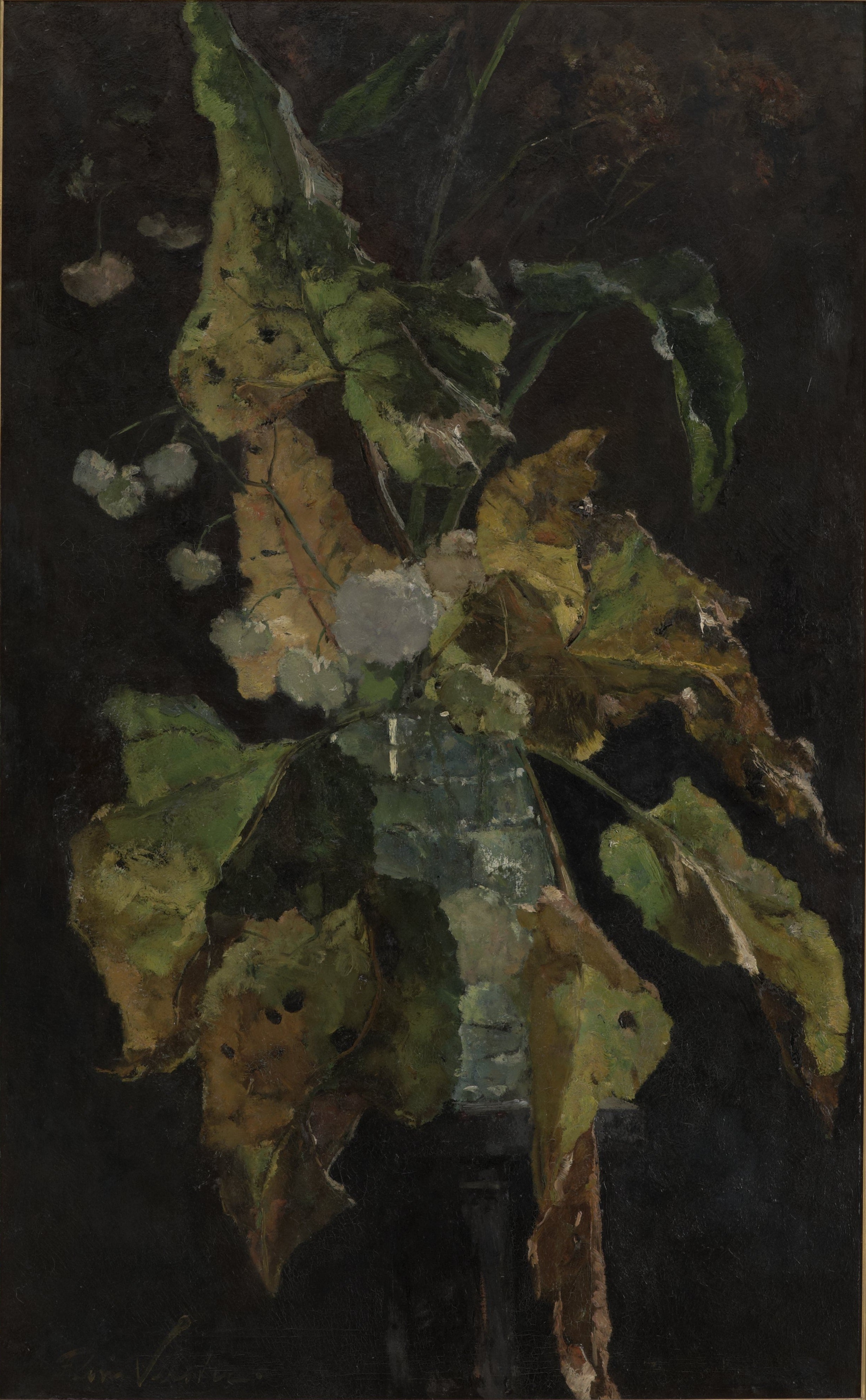 Flowers and Leaves by Floris Verster
