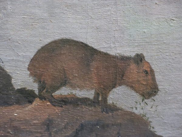 Rio San Francisco and Fort Maurice, Brazil (Louvre, INV 1727) - Capybara by Tangopaso