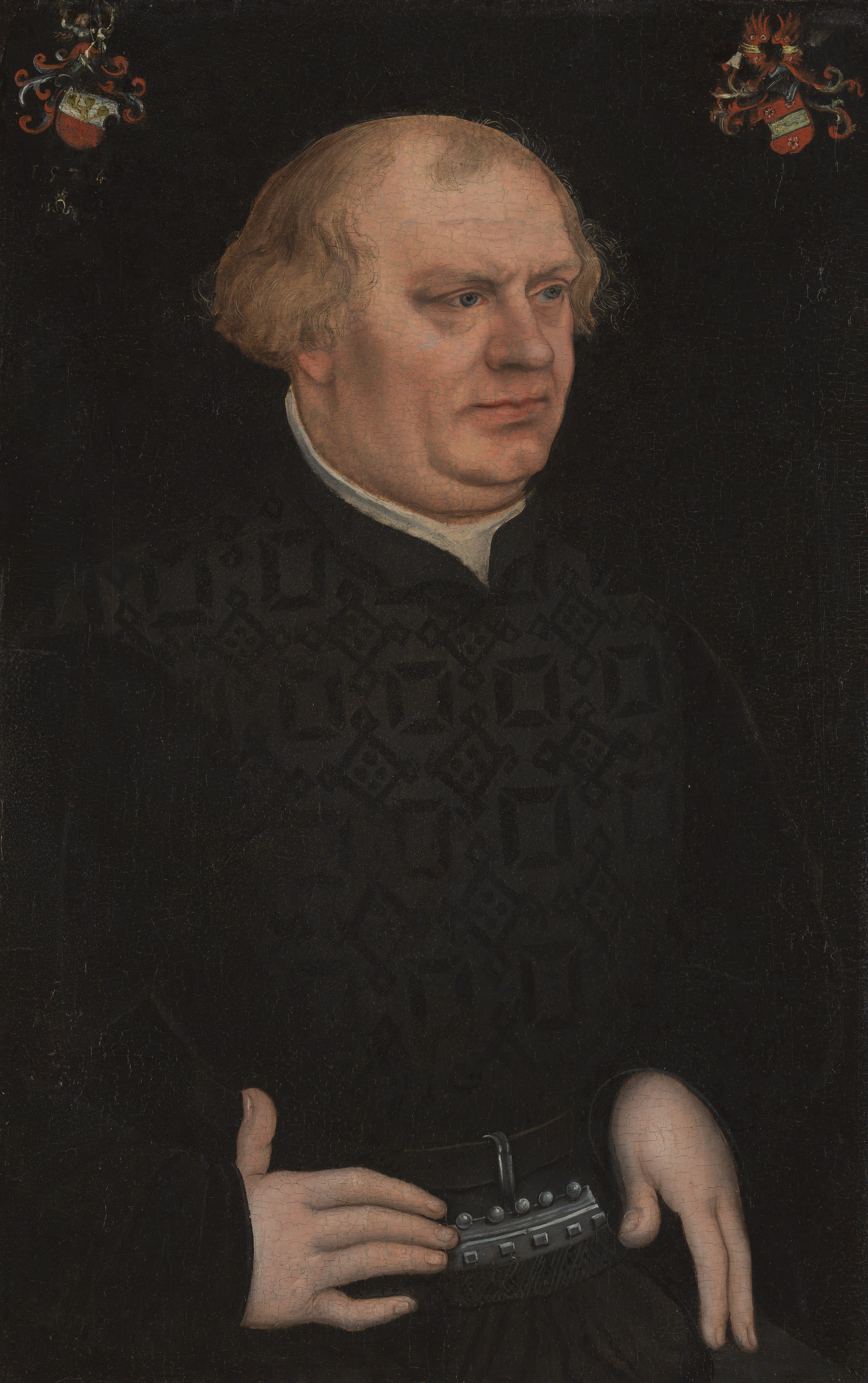 Portrait of a Man, probably Johann Feige by Lucas Cranach the Elder