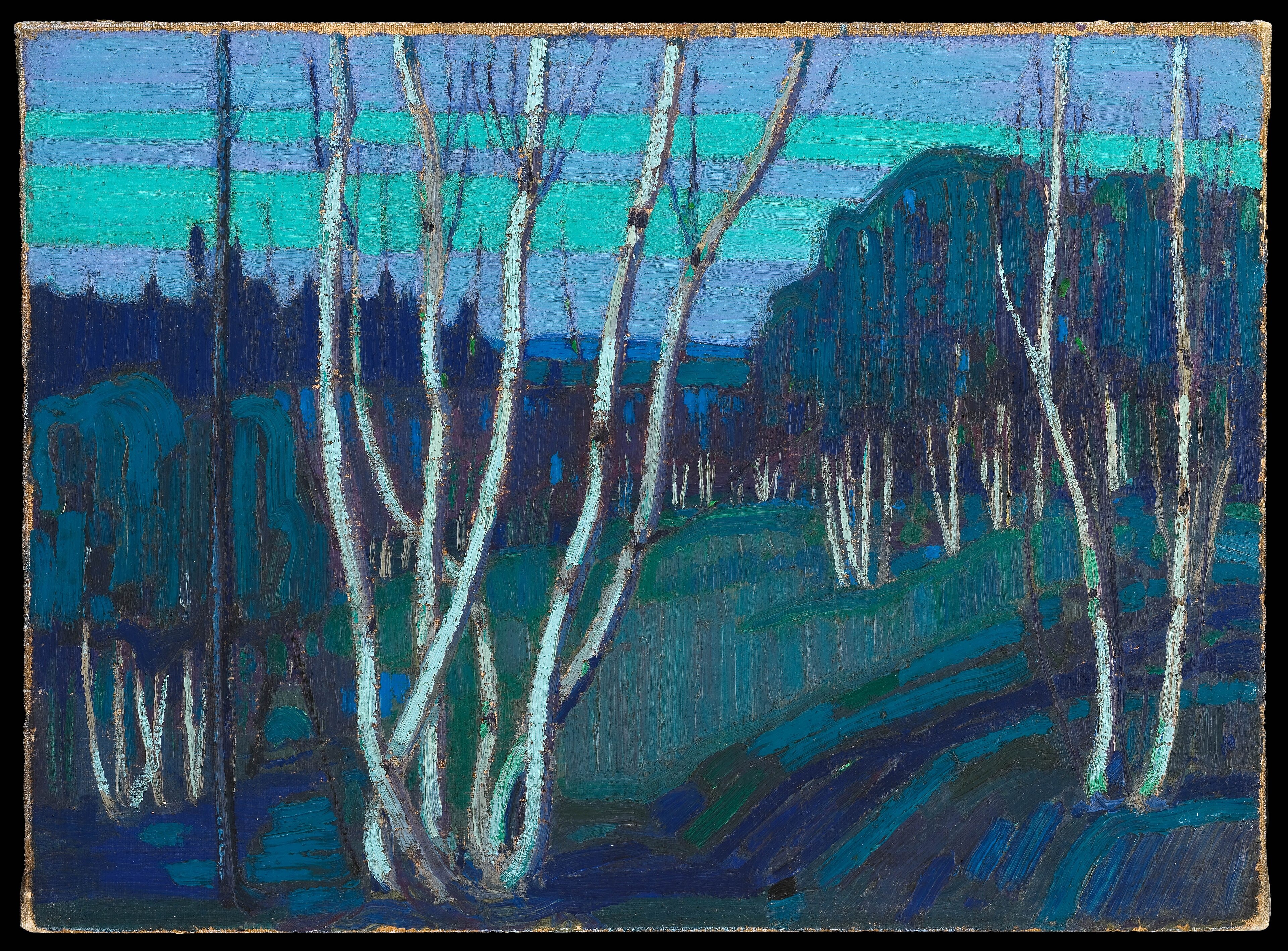 Silver Birches by Tom Thomson