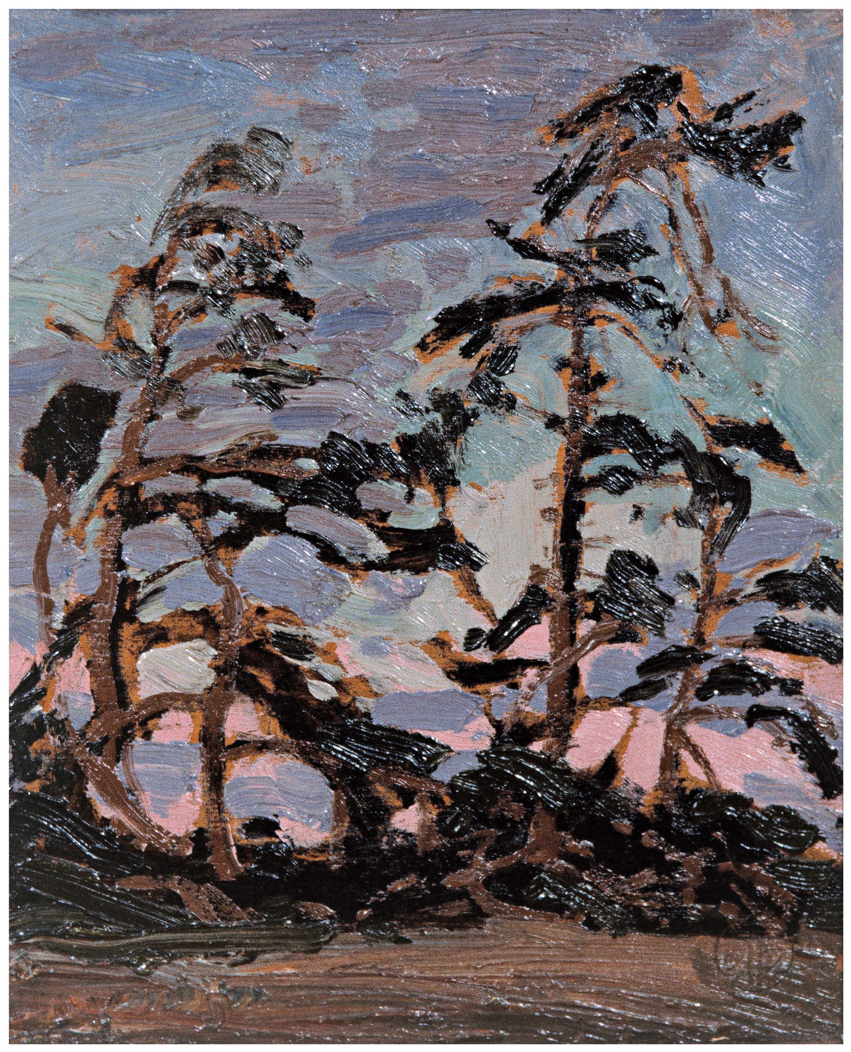Evening, Pine Island by Tom Thomson