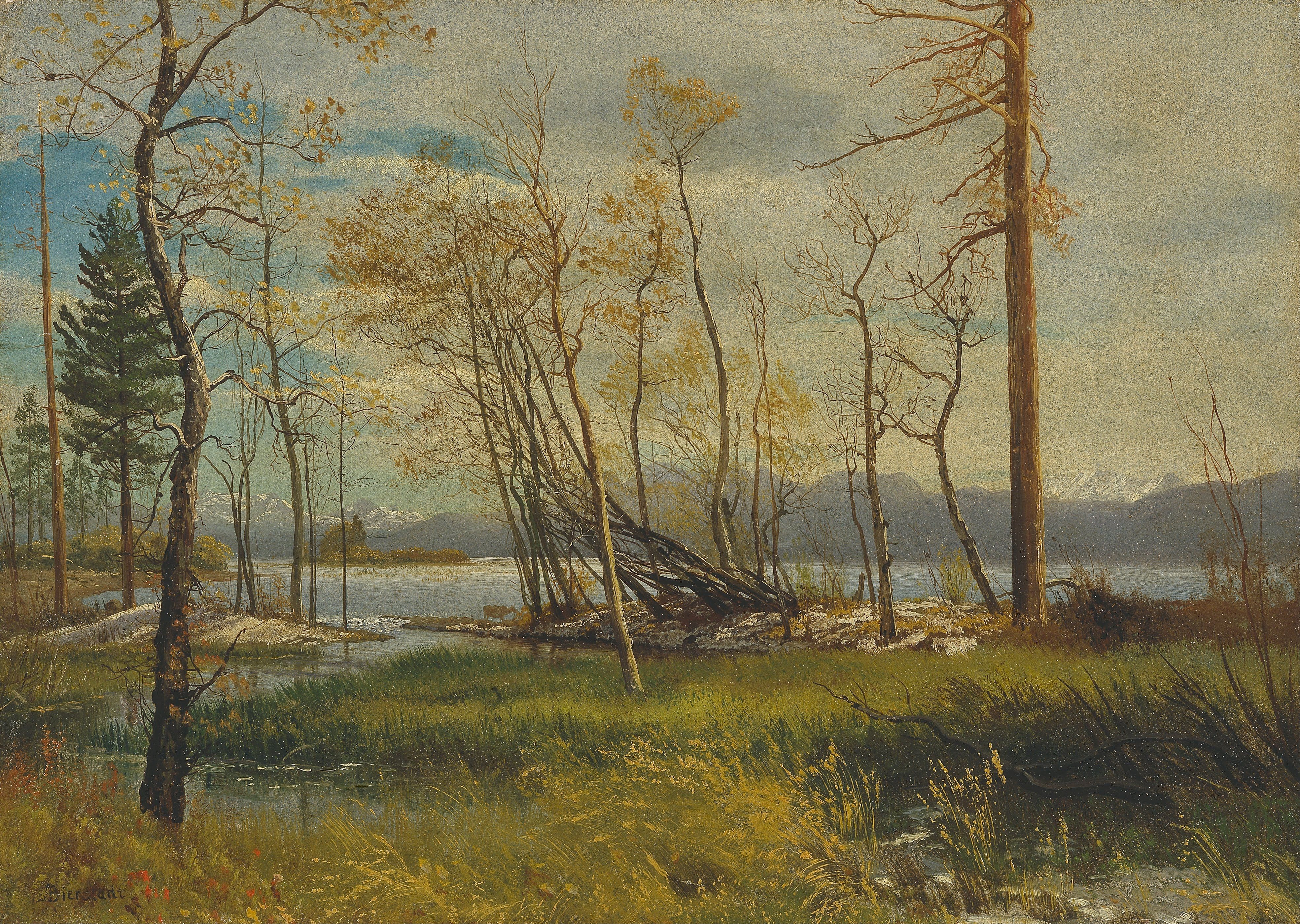 Lake Tahoe by Albert Bierstadt